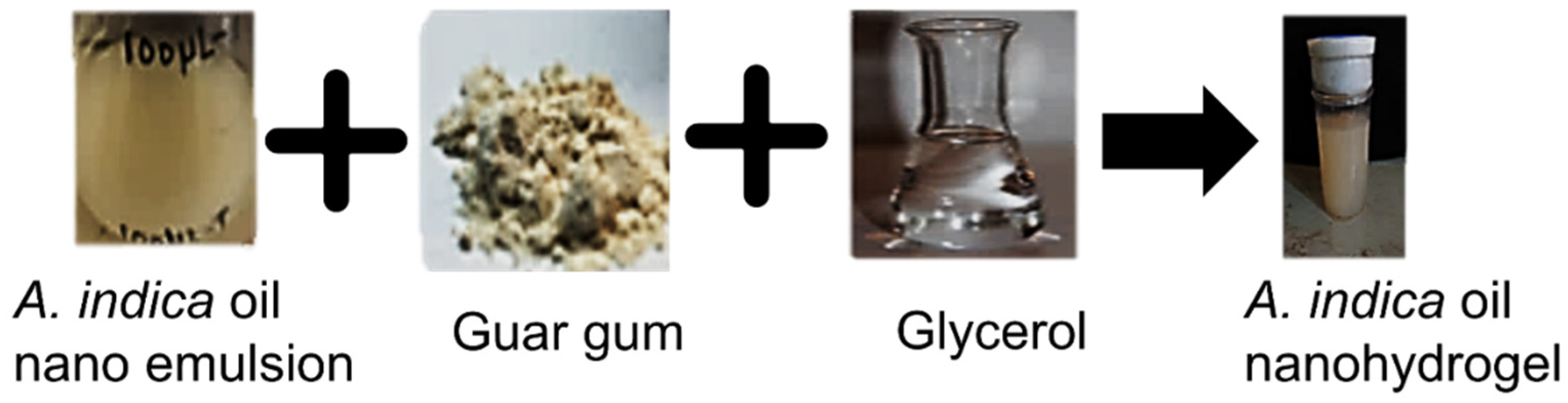 Gels 08 00434 g003 550