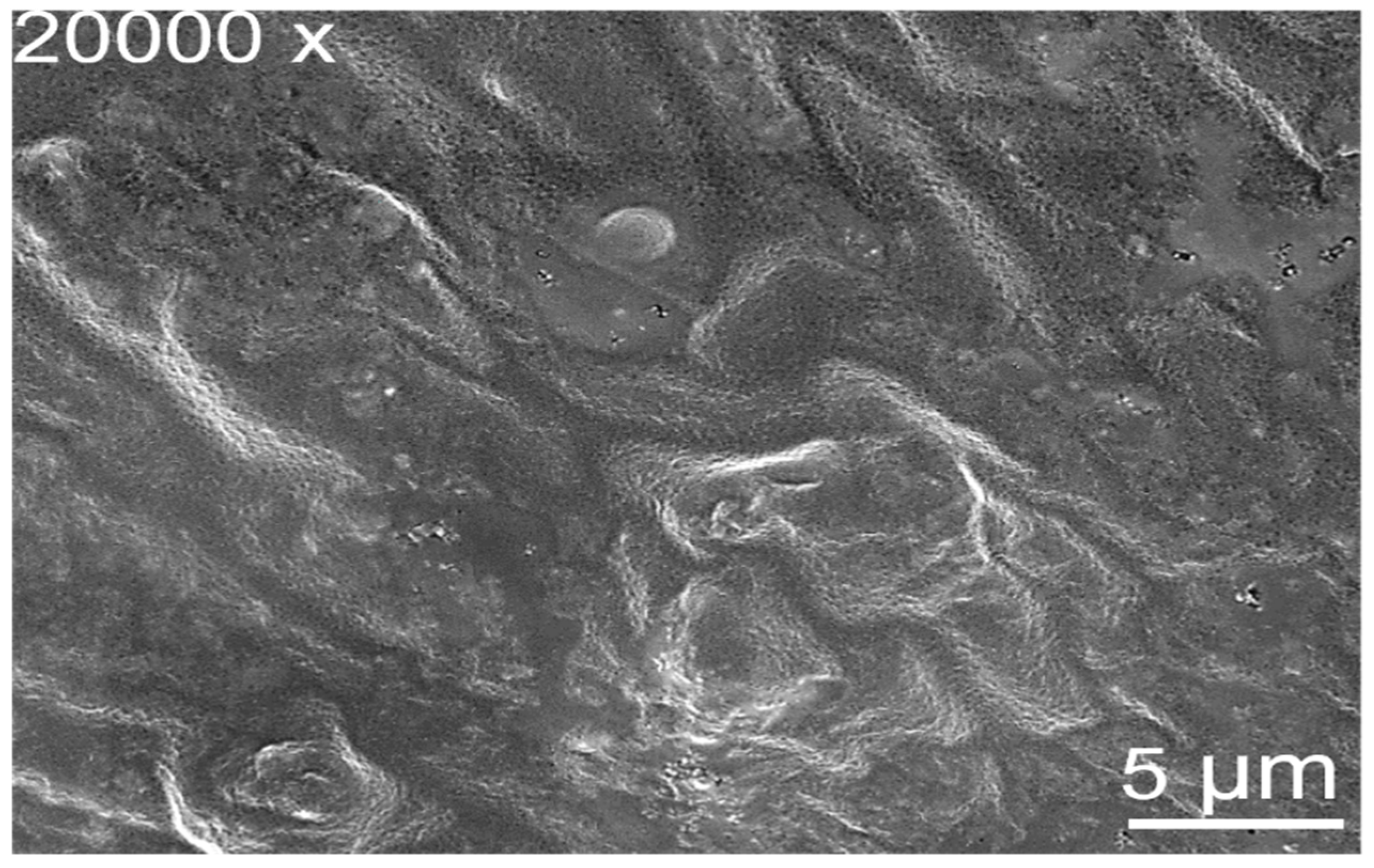 Gels 08 00434 g006 550