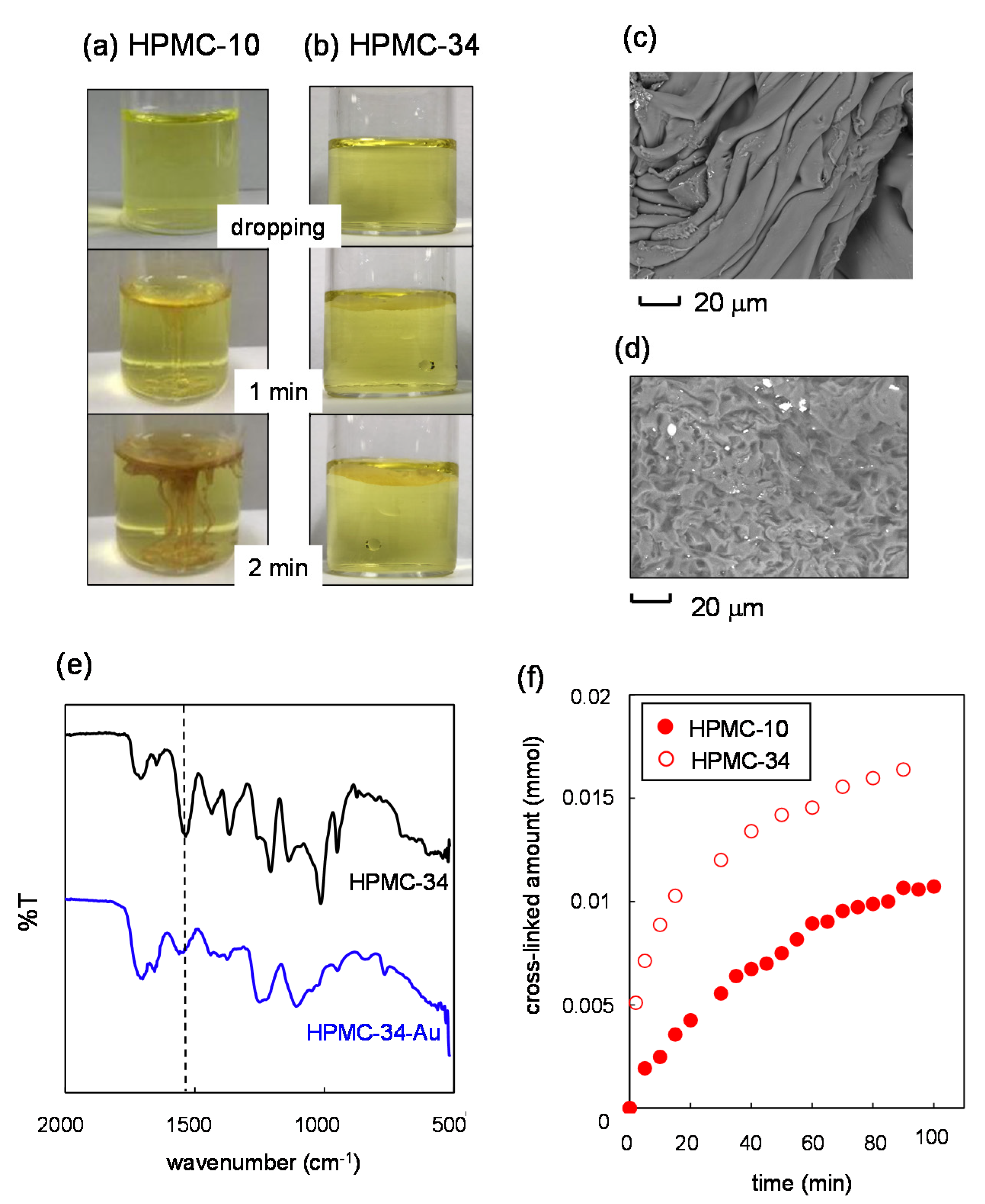 Gels 08 00435 g002 550