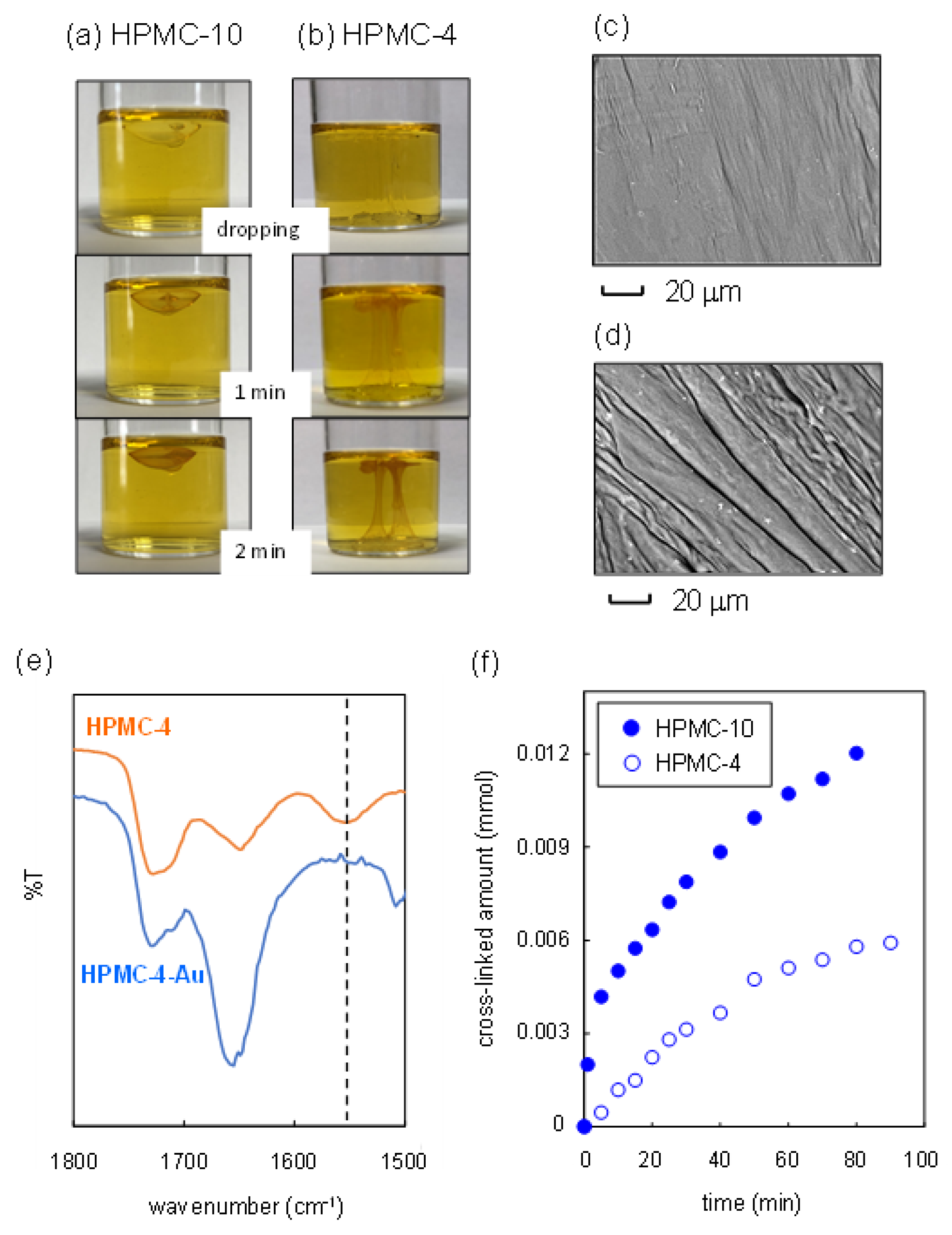 Gels 08 00435 g003 550