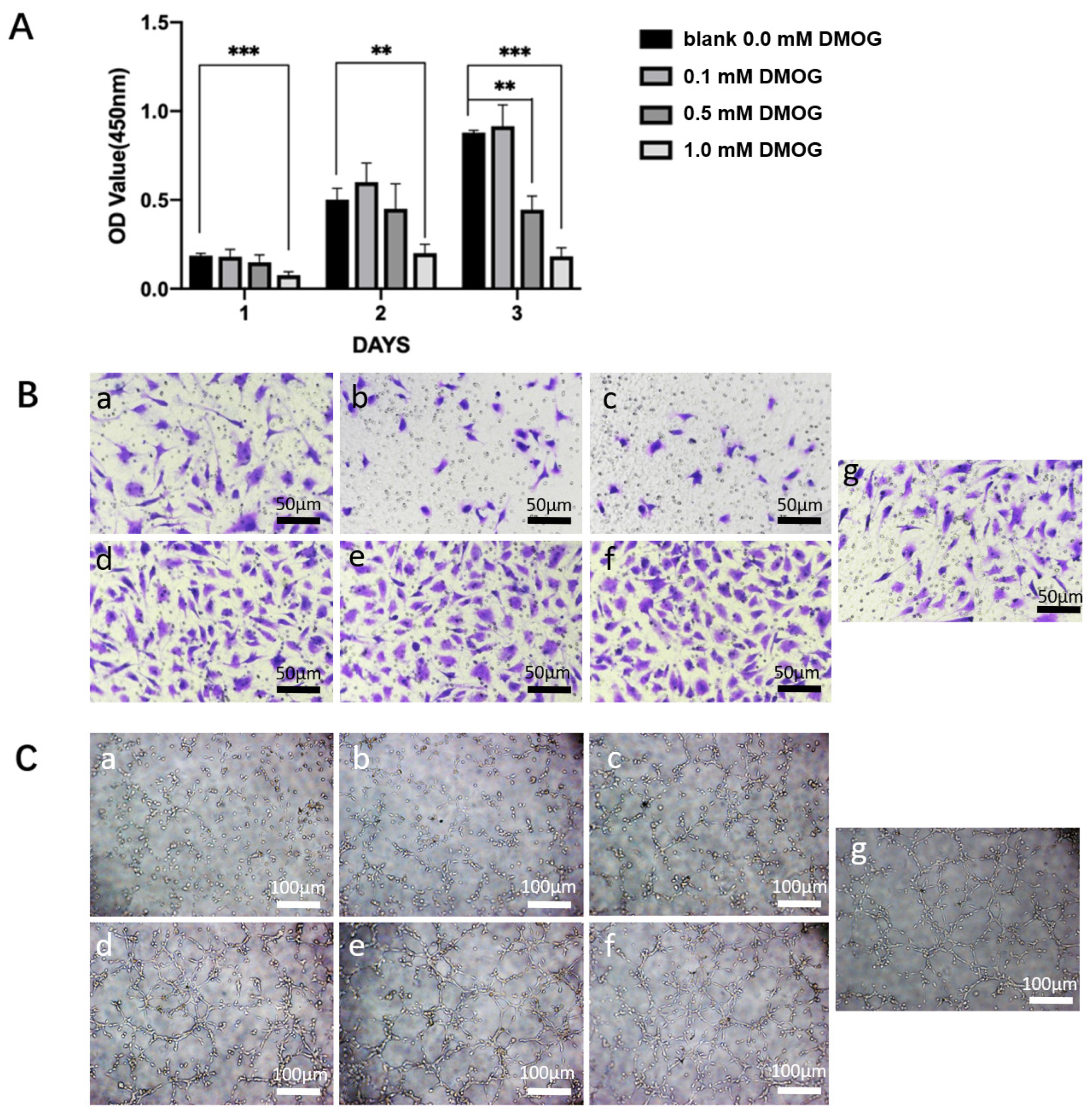 Gels 08 00437 g003 550