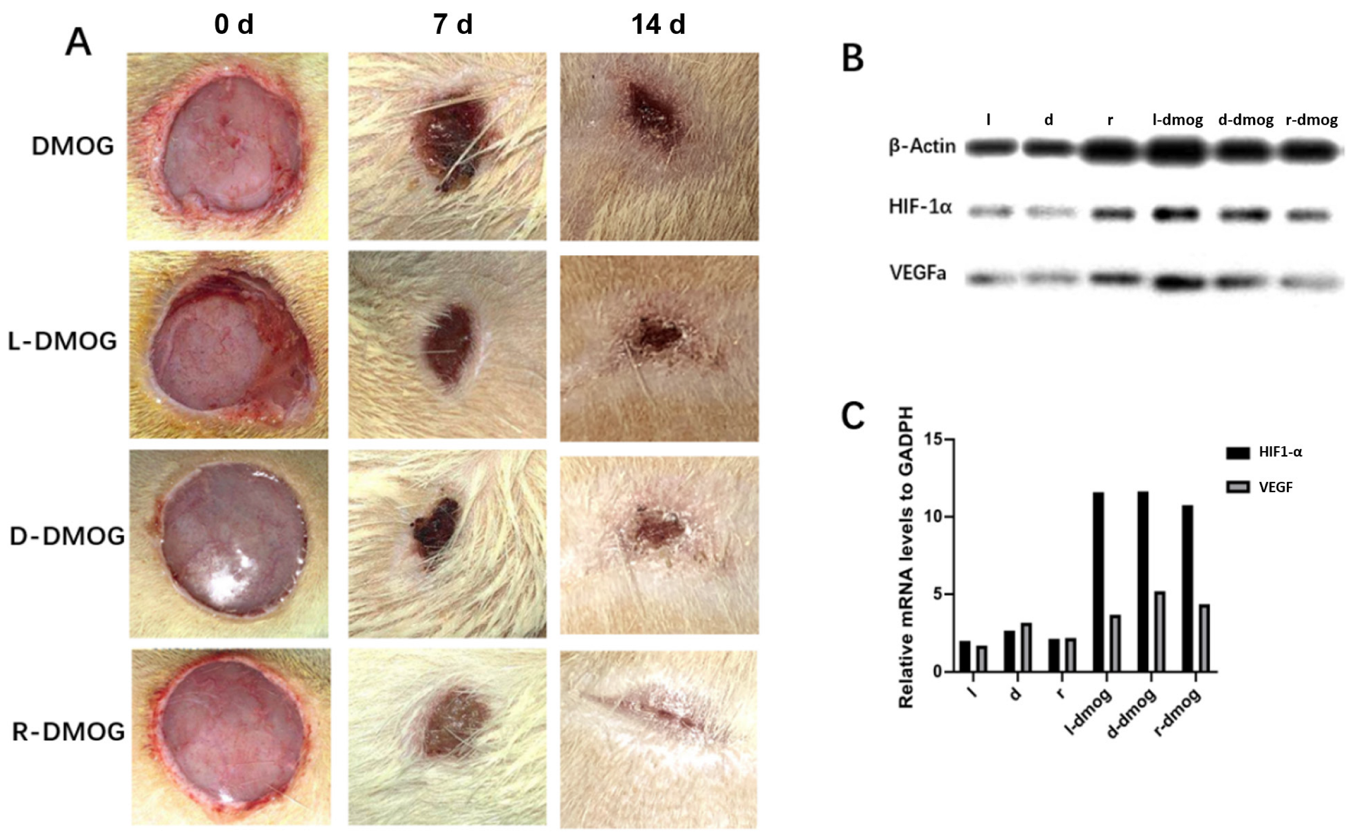 Gels 08 00437 g004 550