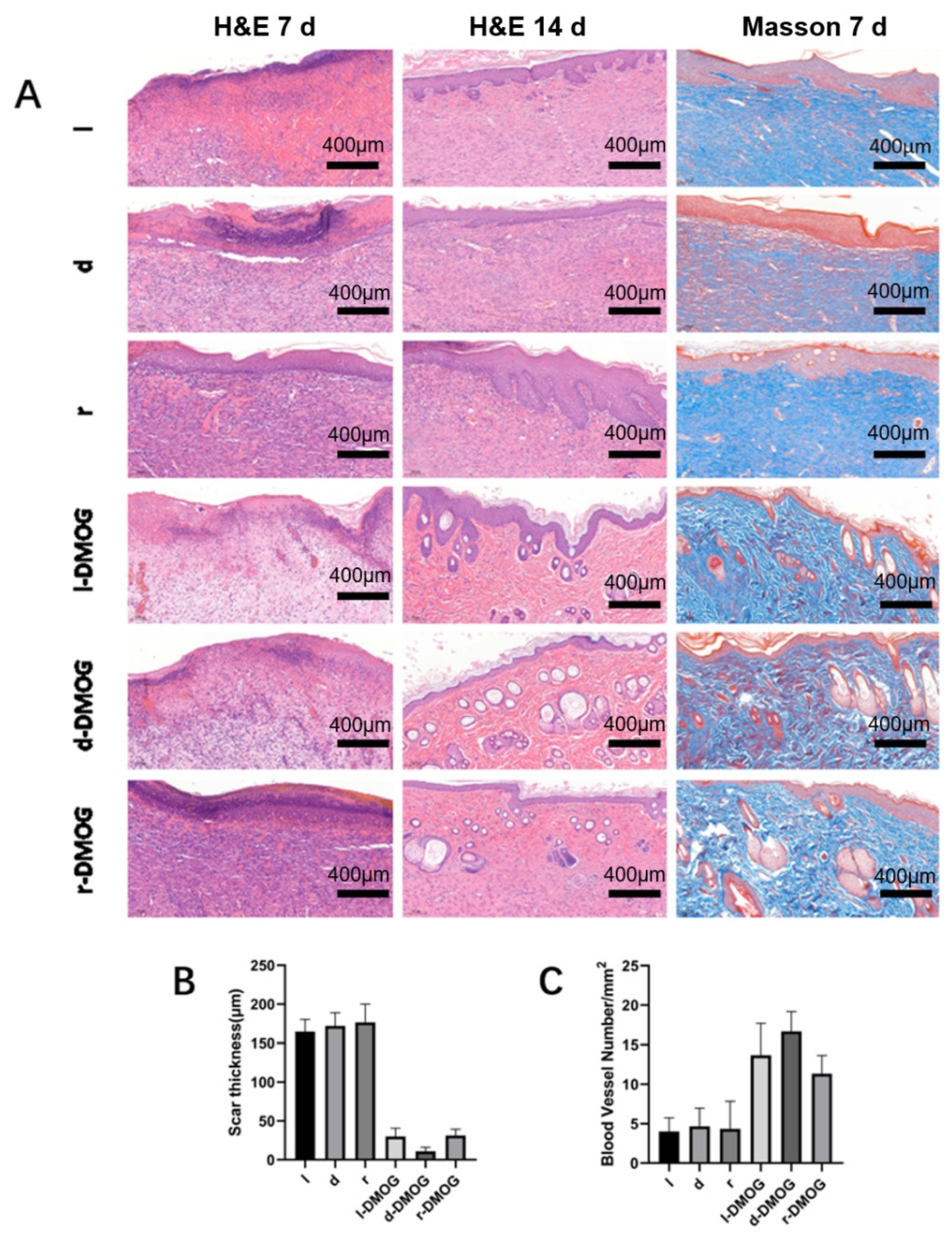 Gels 08 00437 g005 550