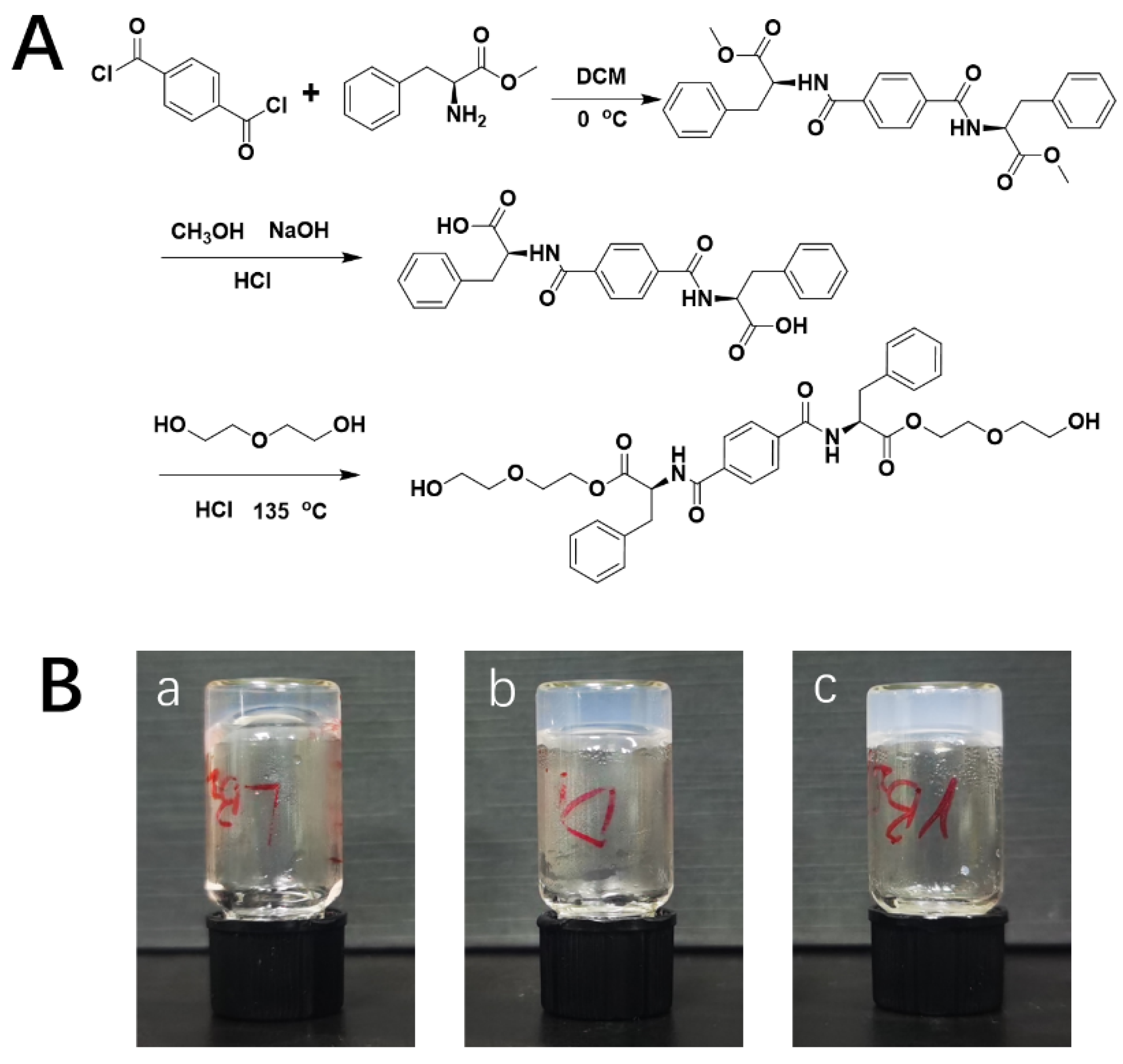 Gels 08 00437 g006 550