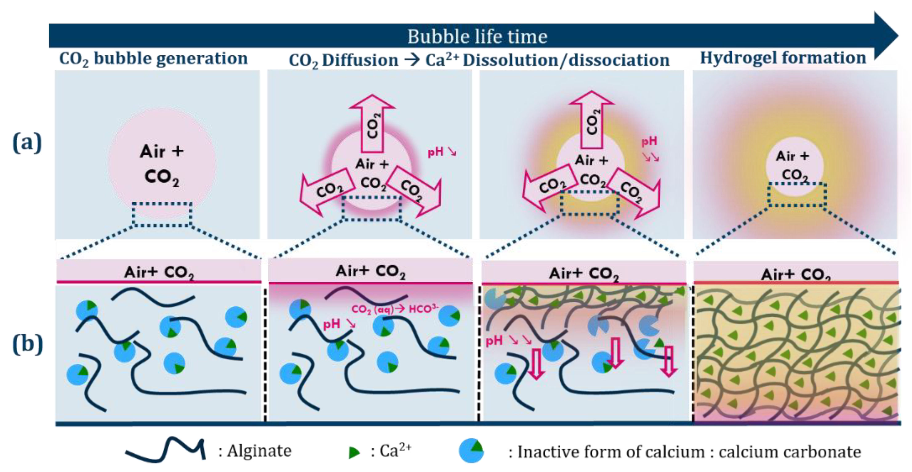 Gels 08 00444 g001 550
