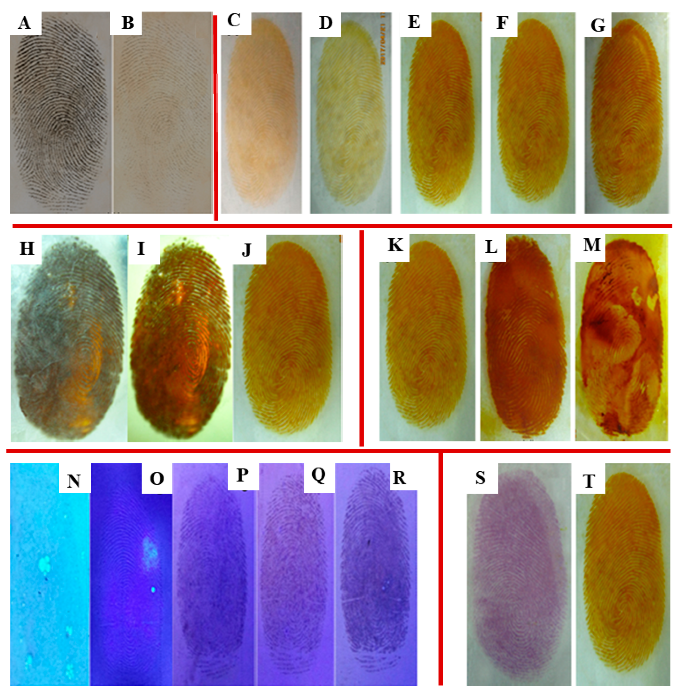 Gels 08 00446 g004 550