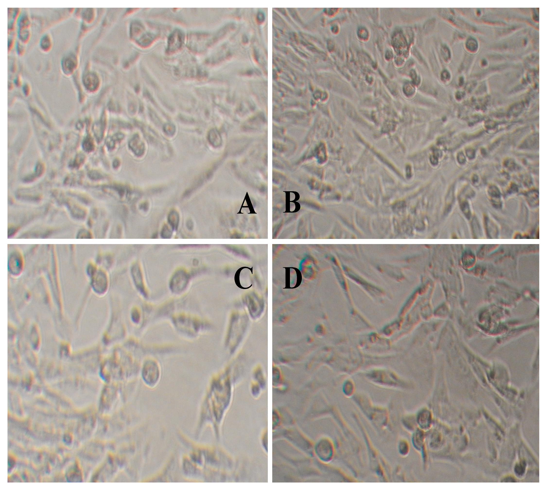 Gels 08 00446 g005 550