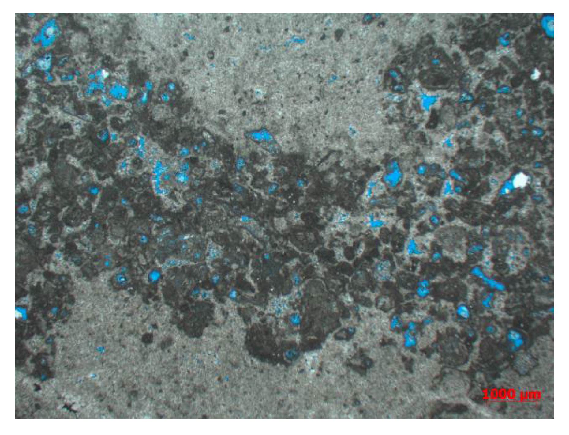 Gels 08 00449 g001 Gels 08 00449 g001