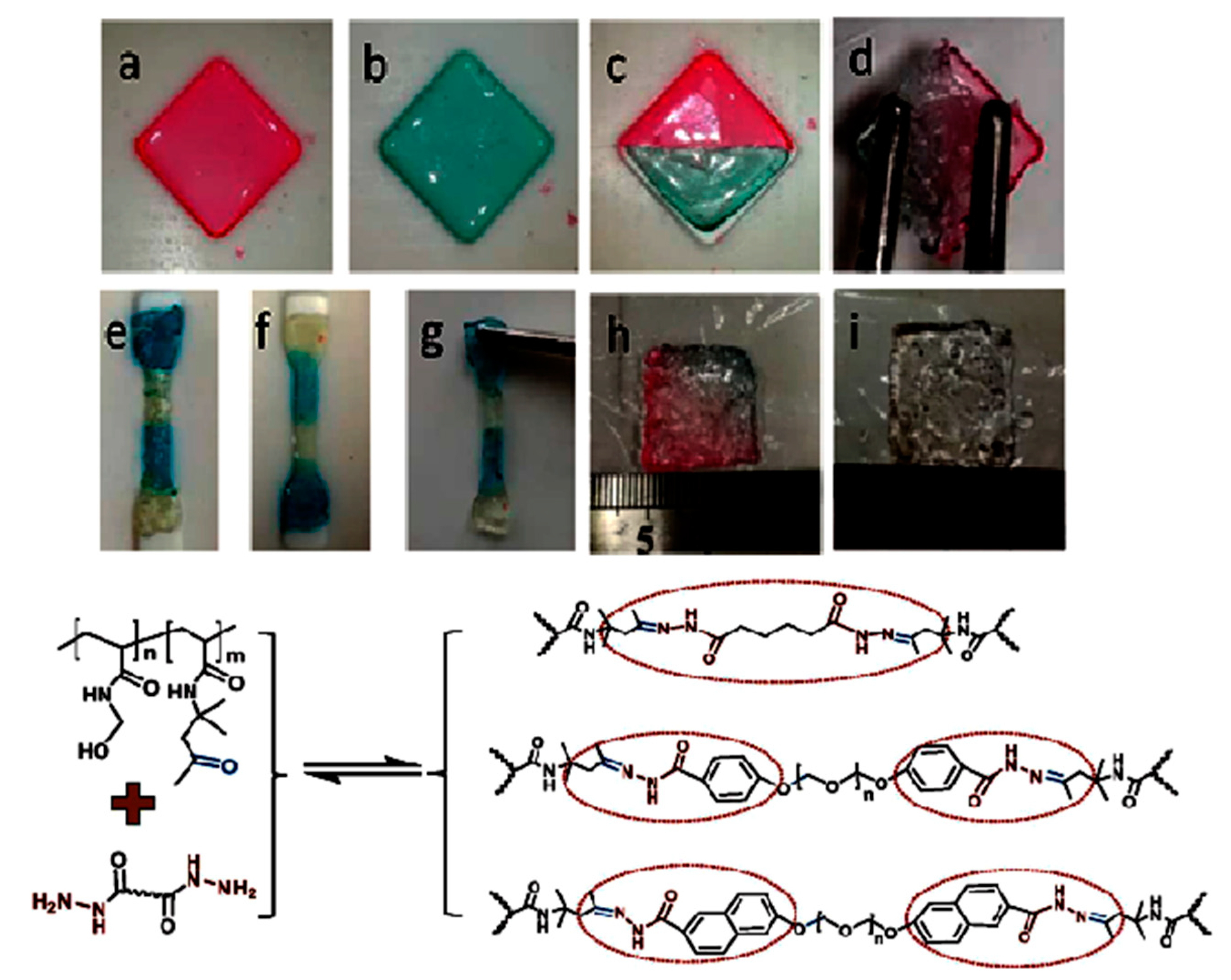Gels 08 00455 g002 550