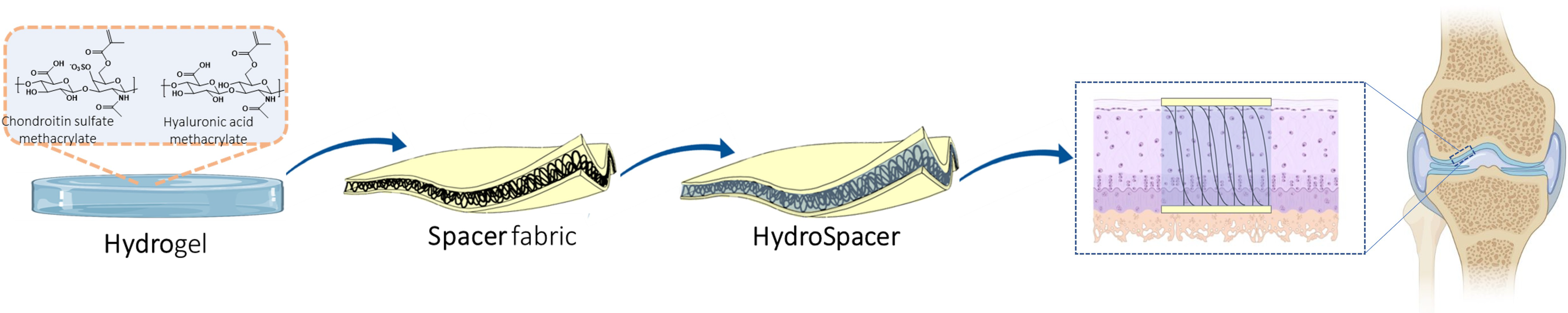Gels 08 00457 sch001