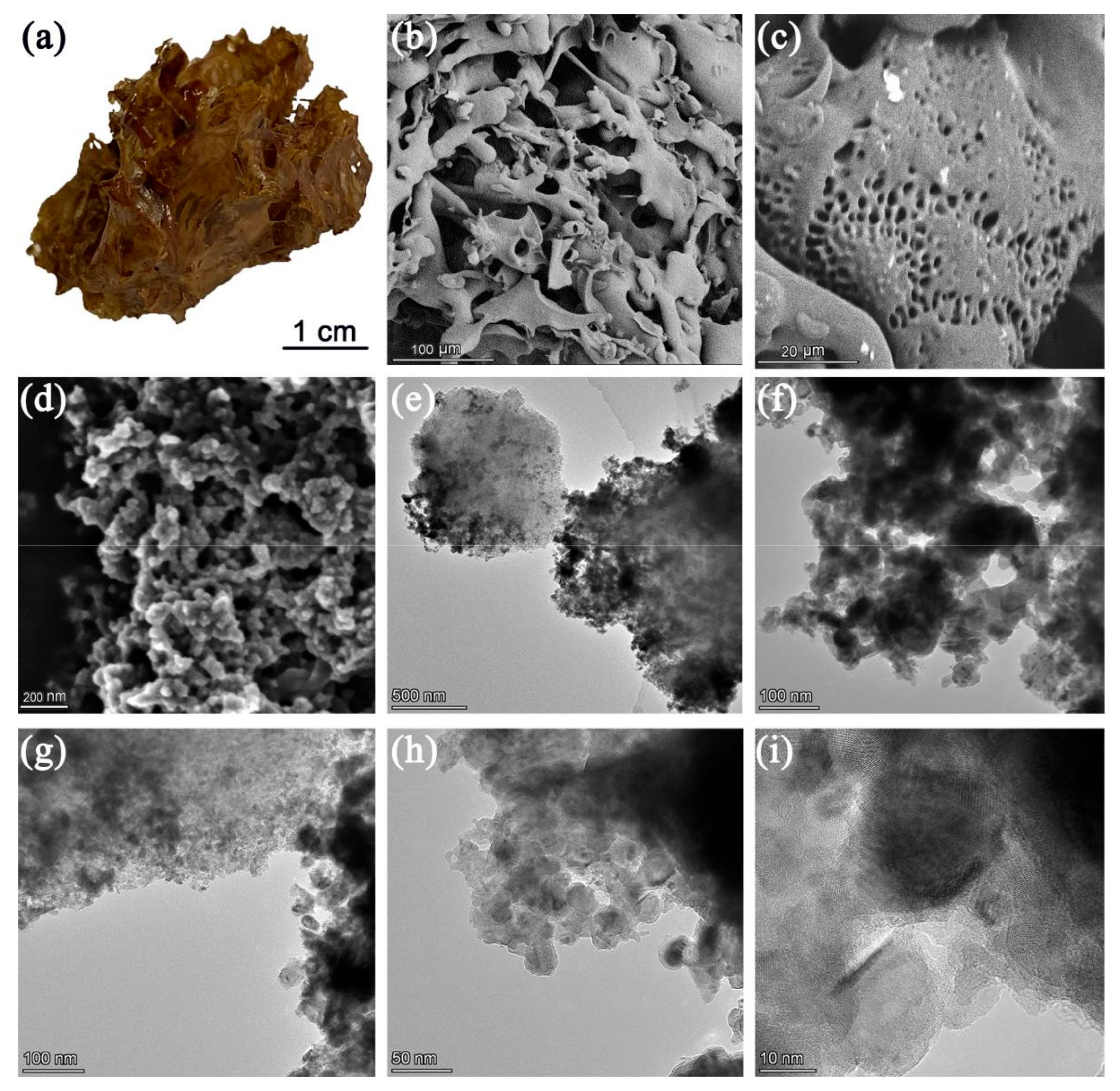 Gels 08 00459 g001 550