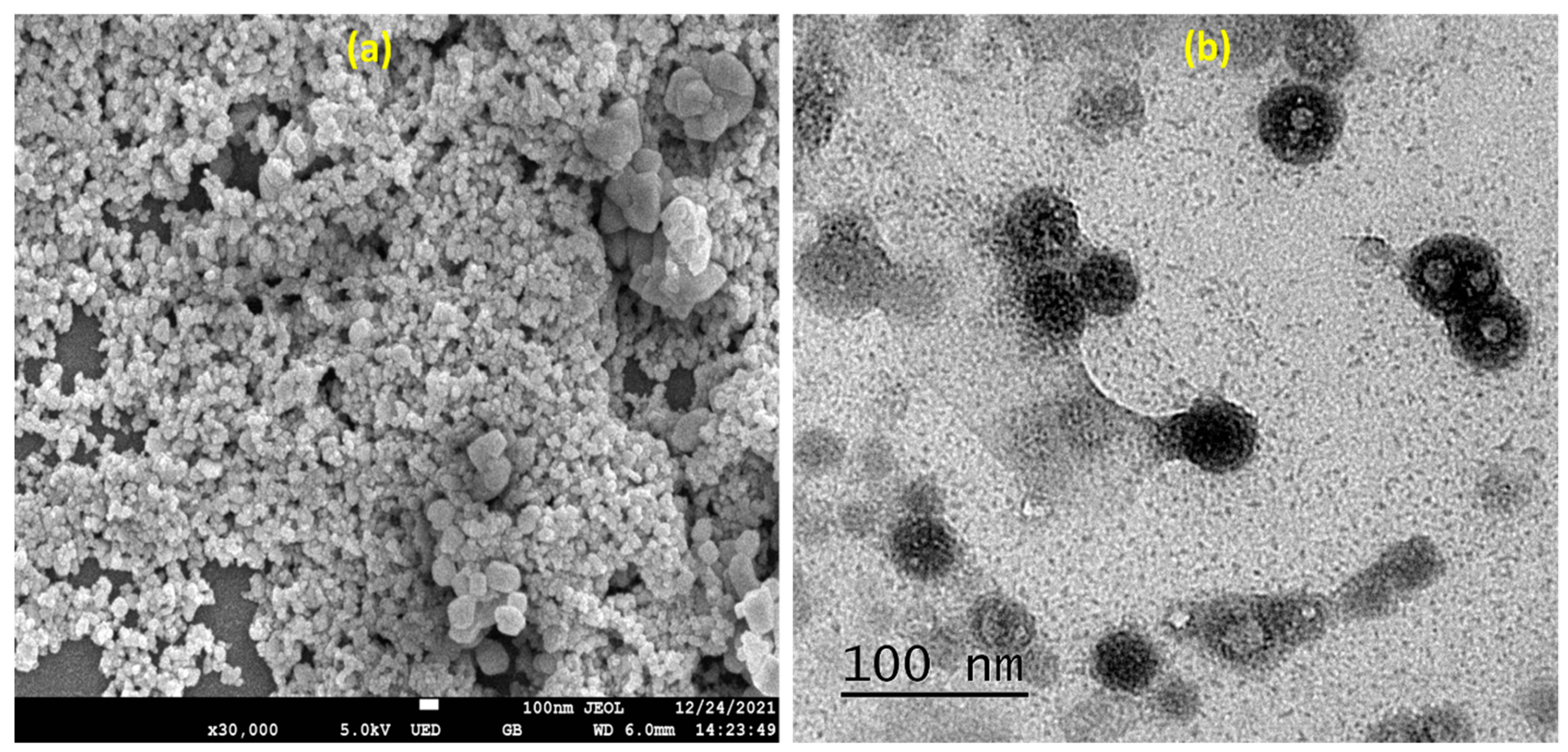 Gels 08 00472 g003 550