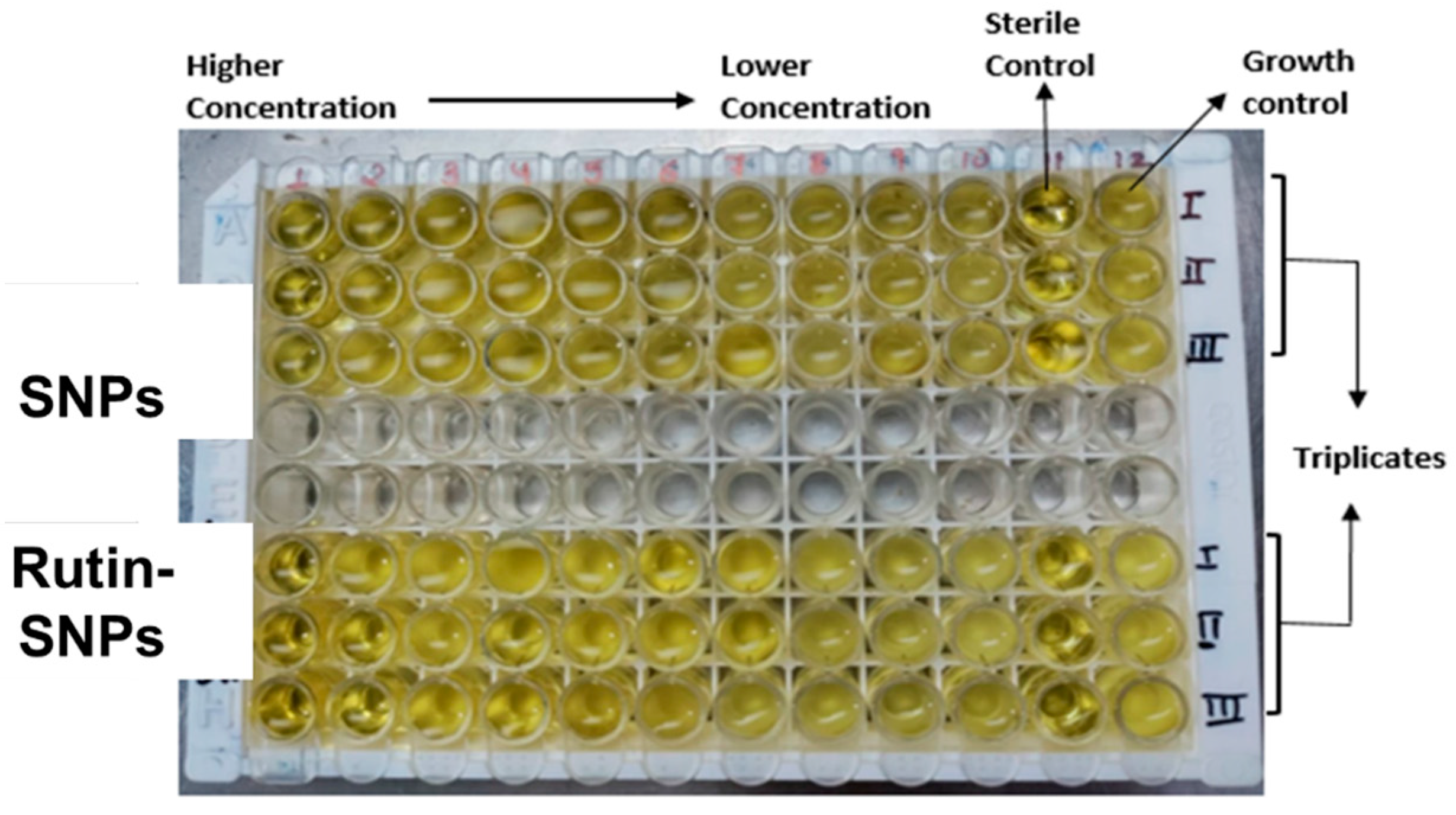 Gels 08 00472 g007 550