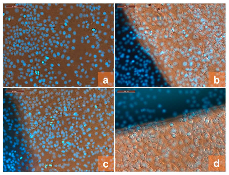 Gels 08 00474 g008 550