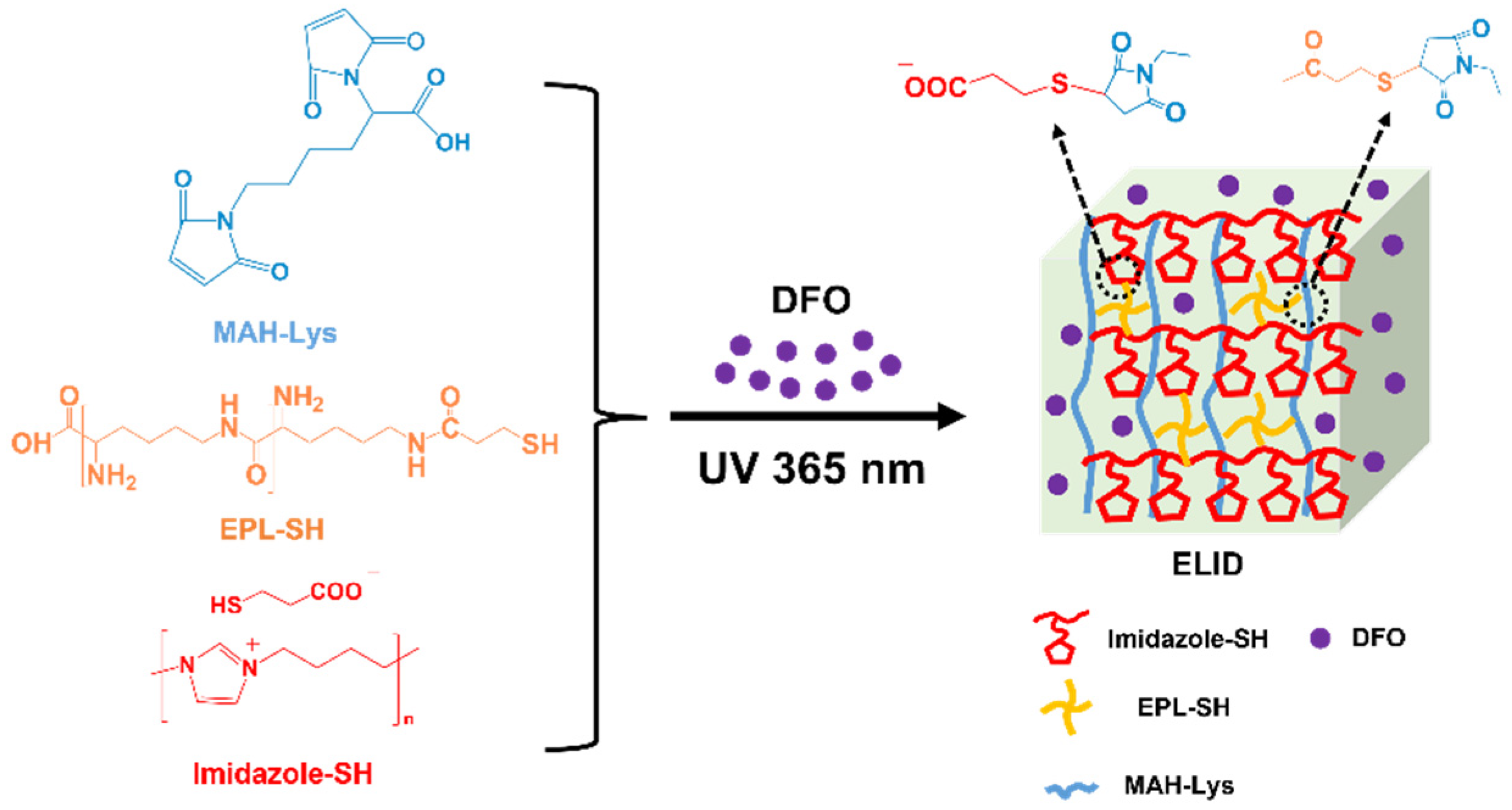 Gels 08 00476 g001 550