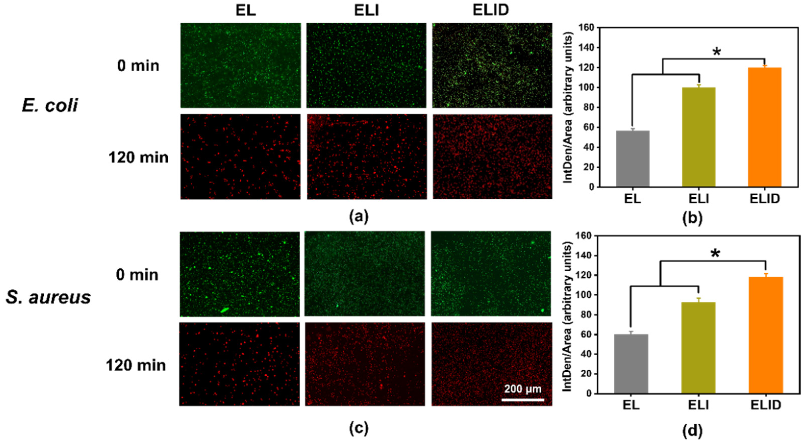 Gels 08 00476 g004 550
