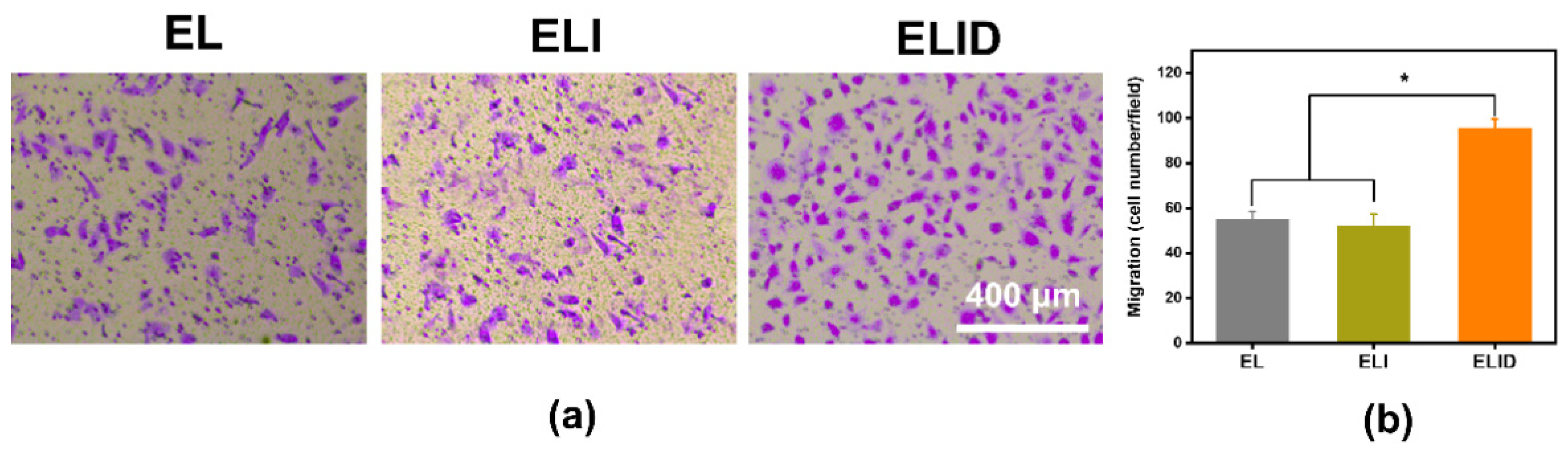 Gels 08 00476 g006 550