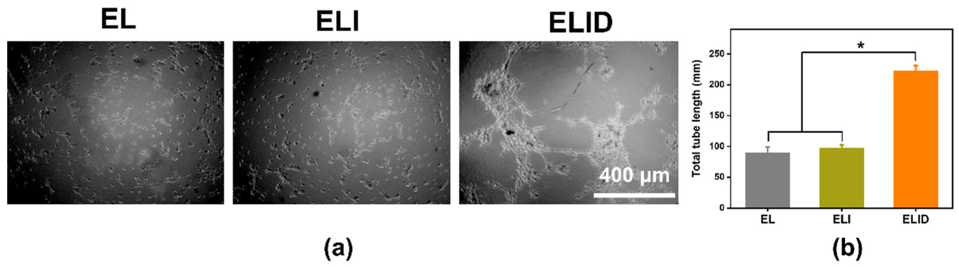 Gels 08 00476 g007 550