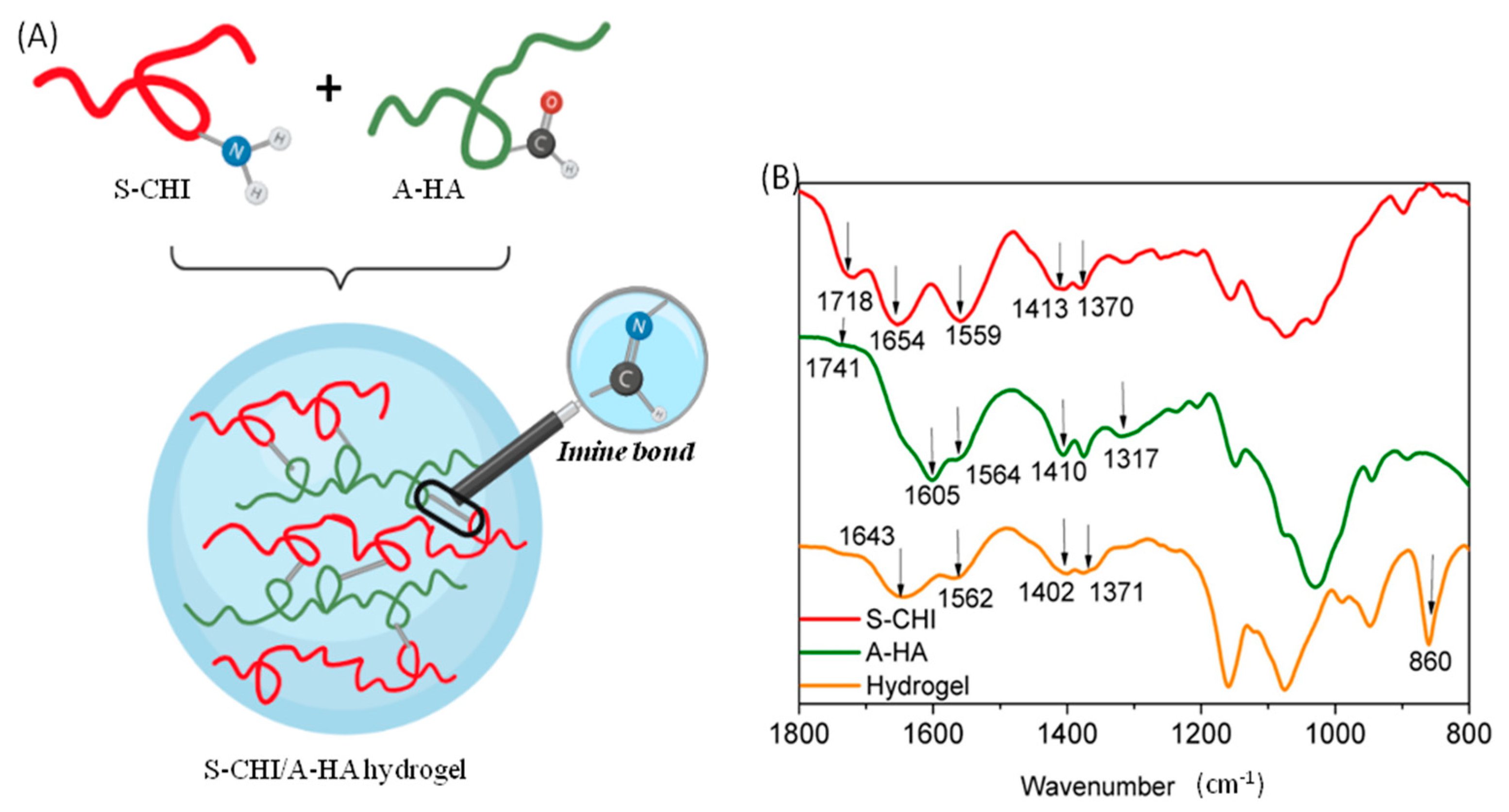 Gels 08 00477 g003 550