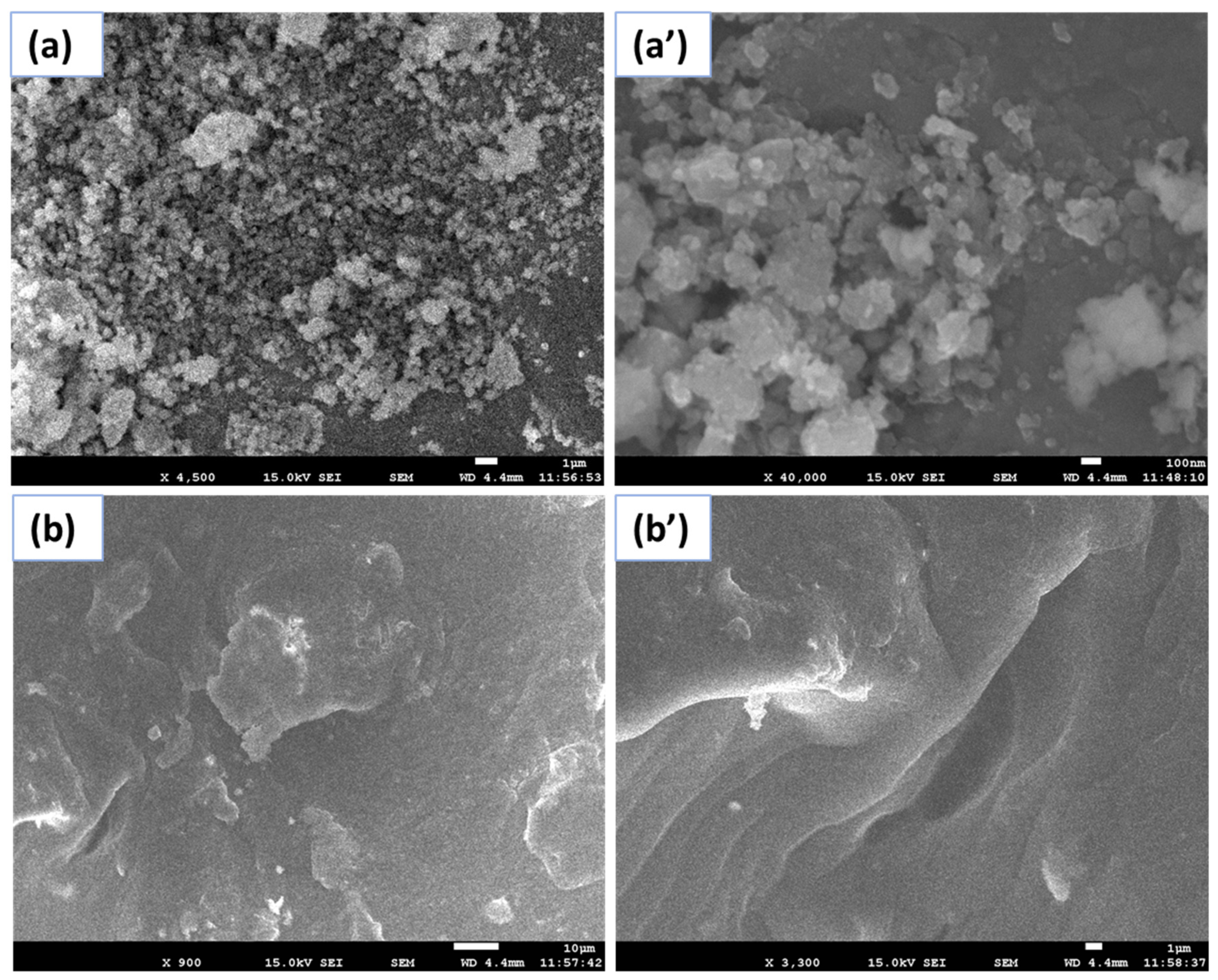 Gels 08 00479 g001 550