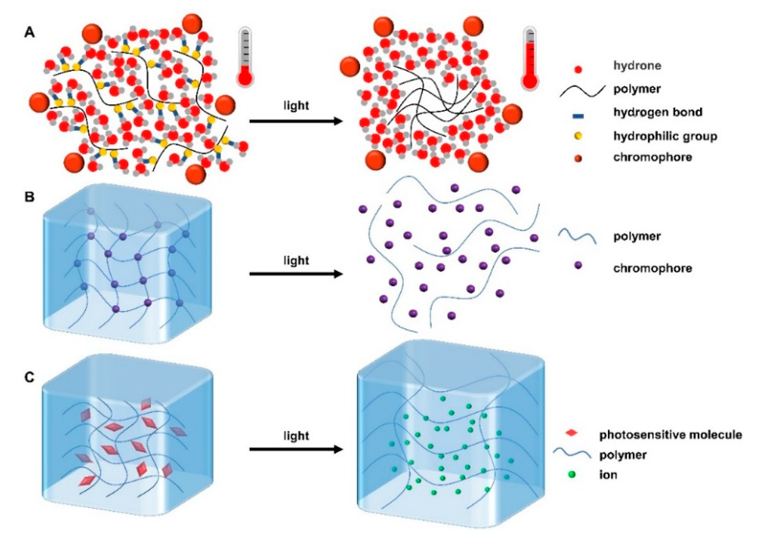 Applications and Mechanisms of Stimuli-Responsive Hydrogels