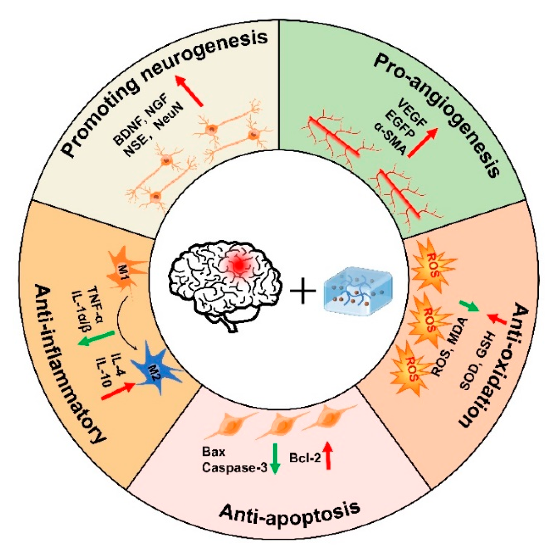 売れ筋介護用品も！ Applications and Mechanisms of Stimuli-Responsive Hydrogels 家庭用ゲーム機本体