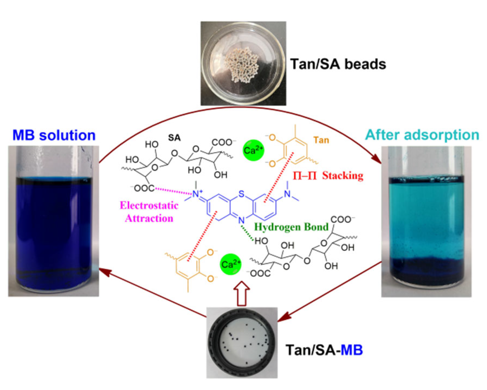 Gels 08 00486 g001 550
