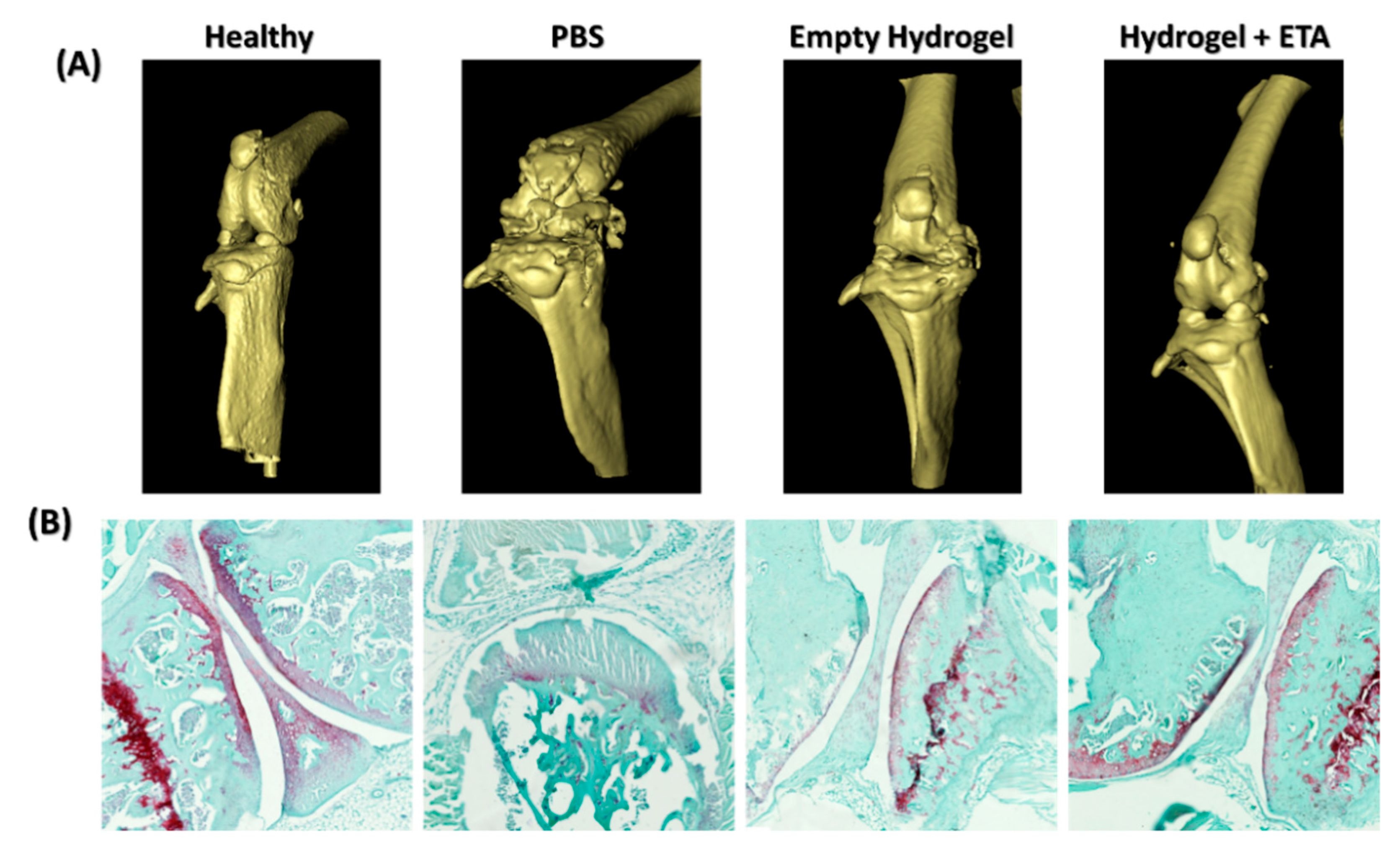 Gels 08 00488 g006 550