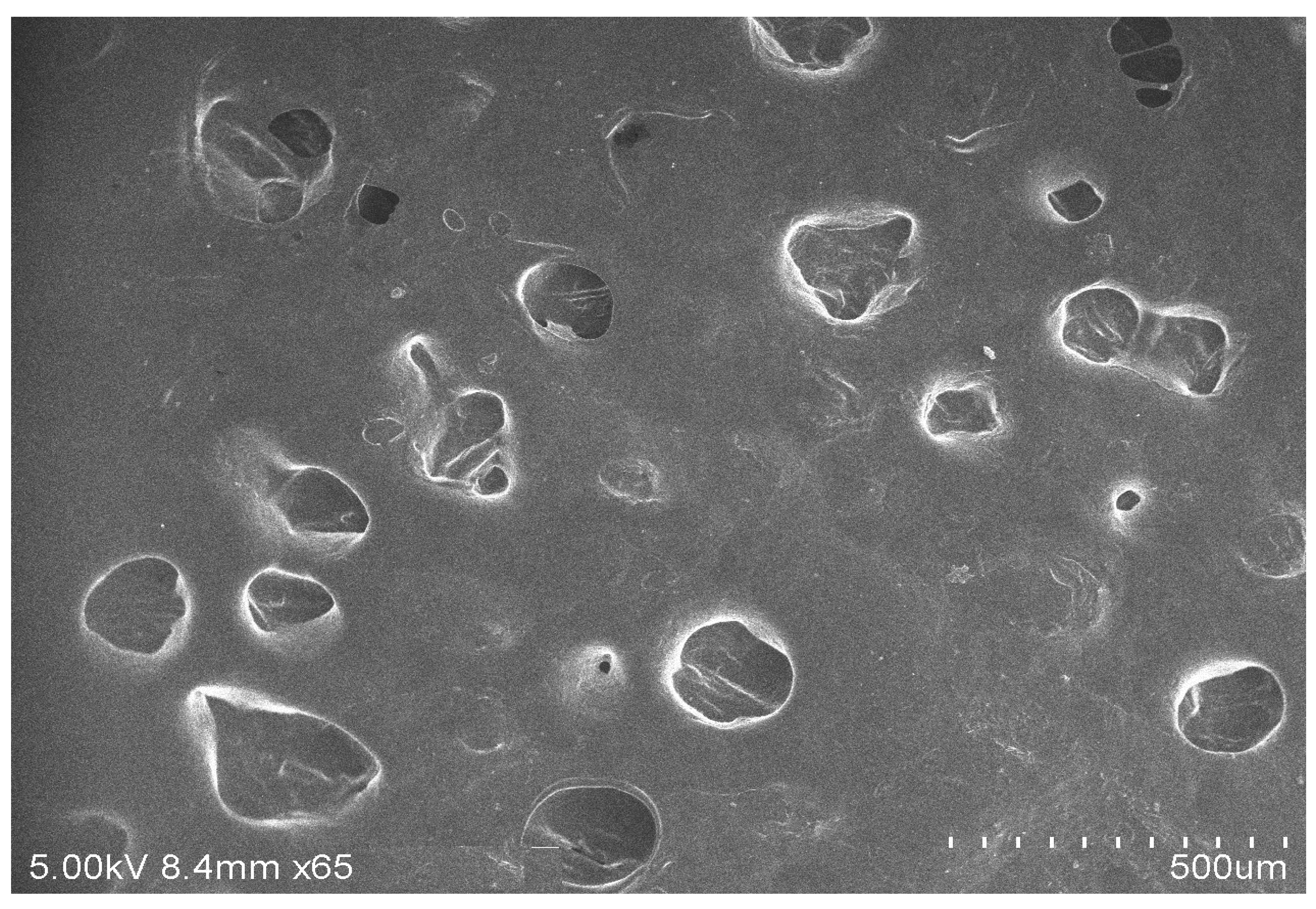 Gels 08 00511 g005 550