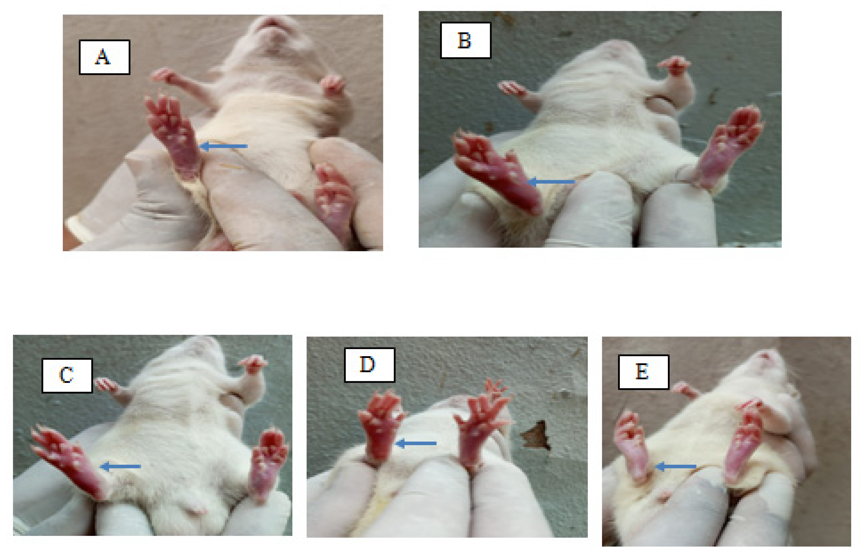 Gels 08 00511 g009 550