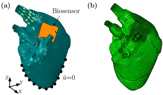 Modeling Tunable Fracture in Hydrogel Shell Structures for