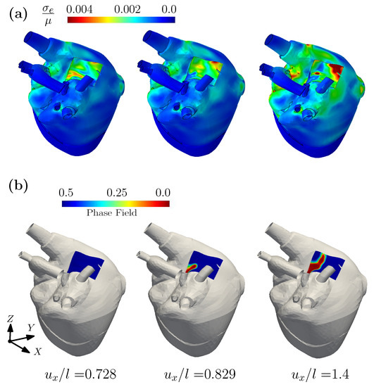 Modeling Tunable Fracture in Hydrogel Shell Structures for