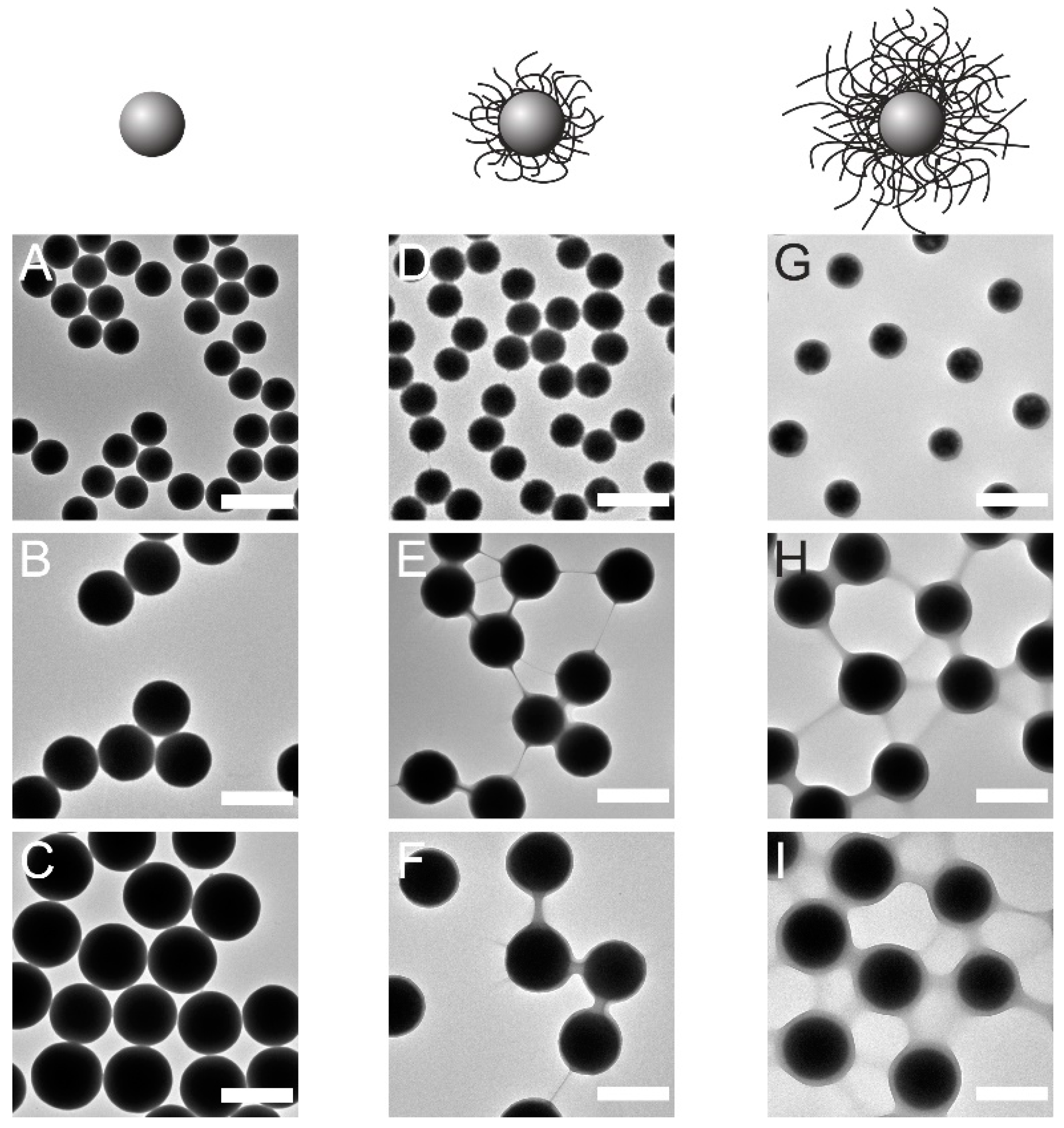 Gels 08 00516 g001 550
