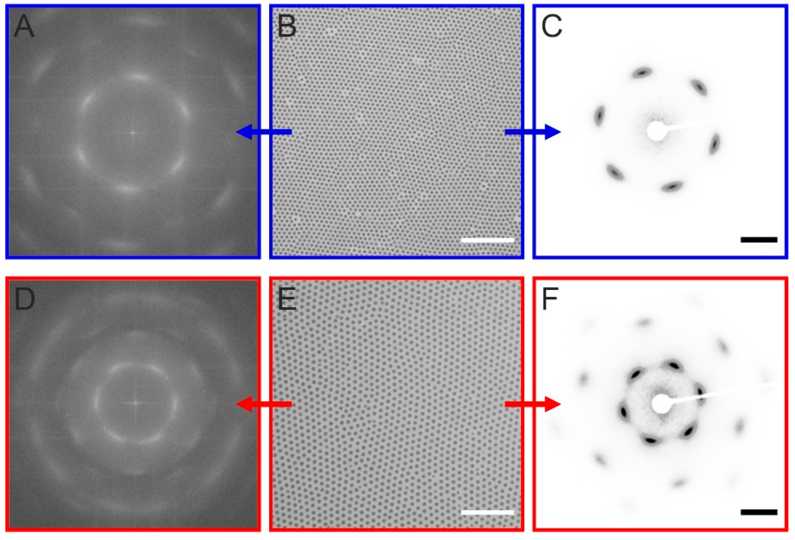 Gels 08 00516 g003 550