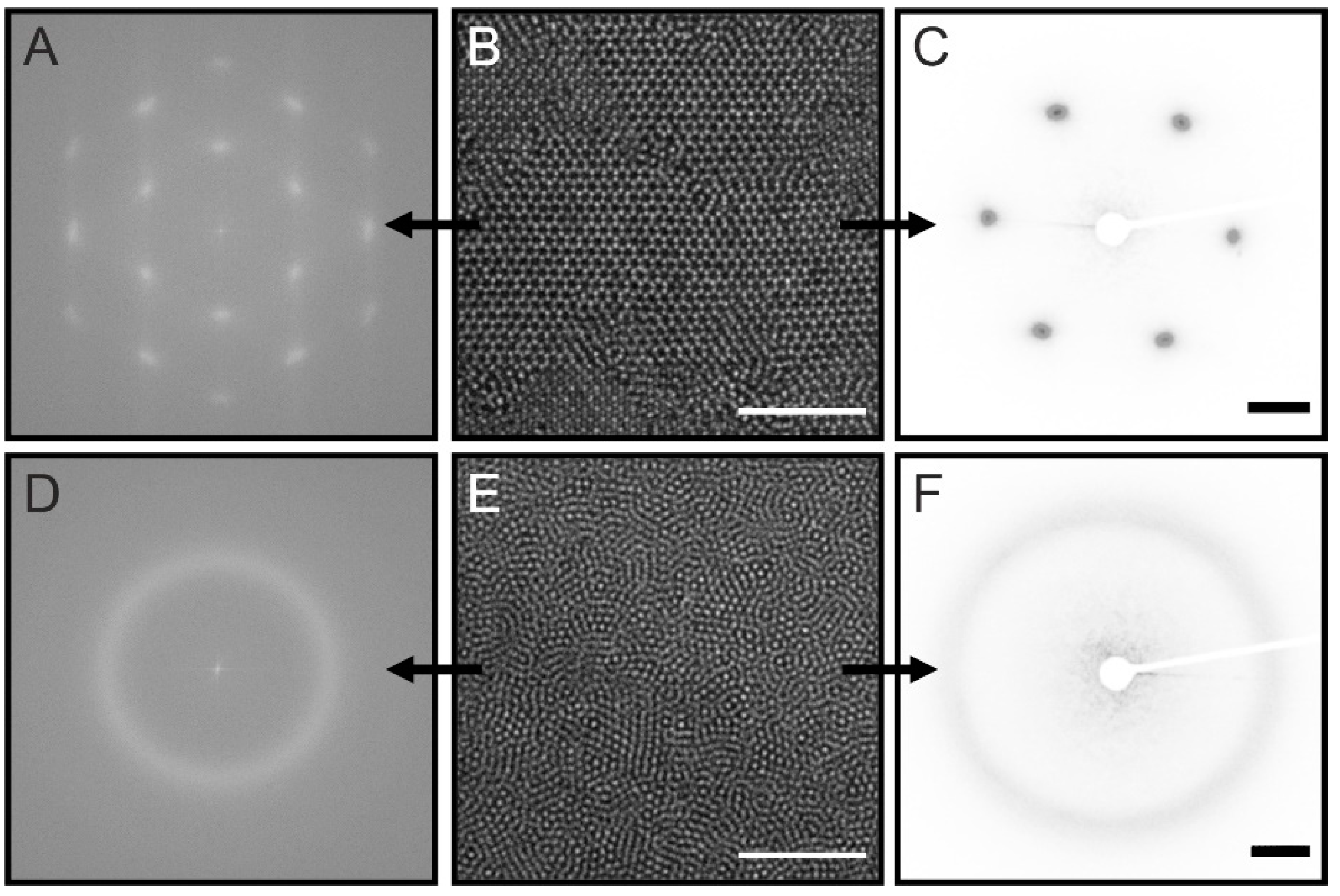 Gels 08 00516 g005 550