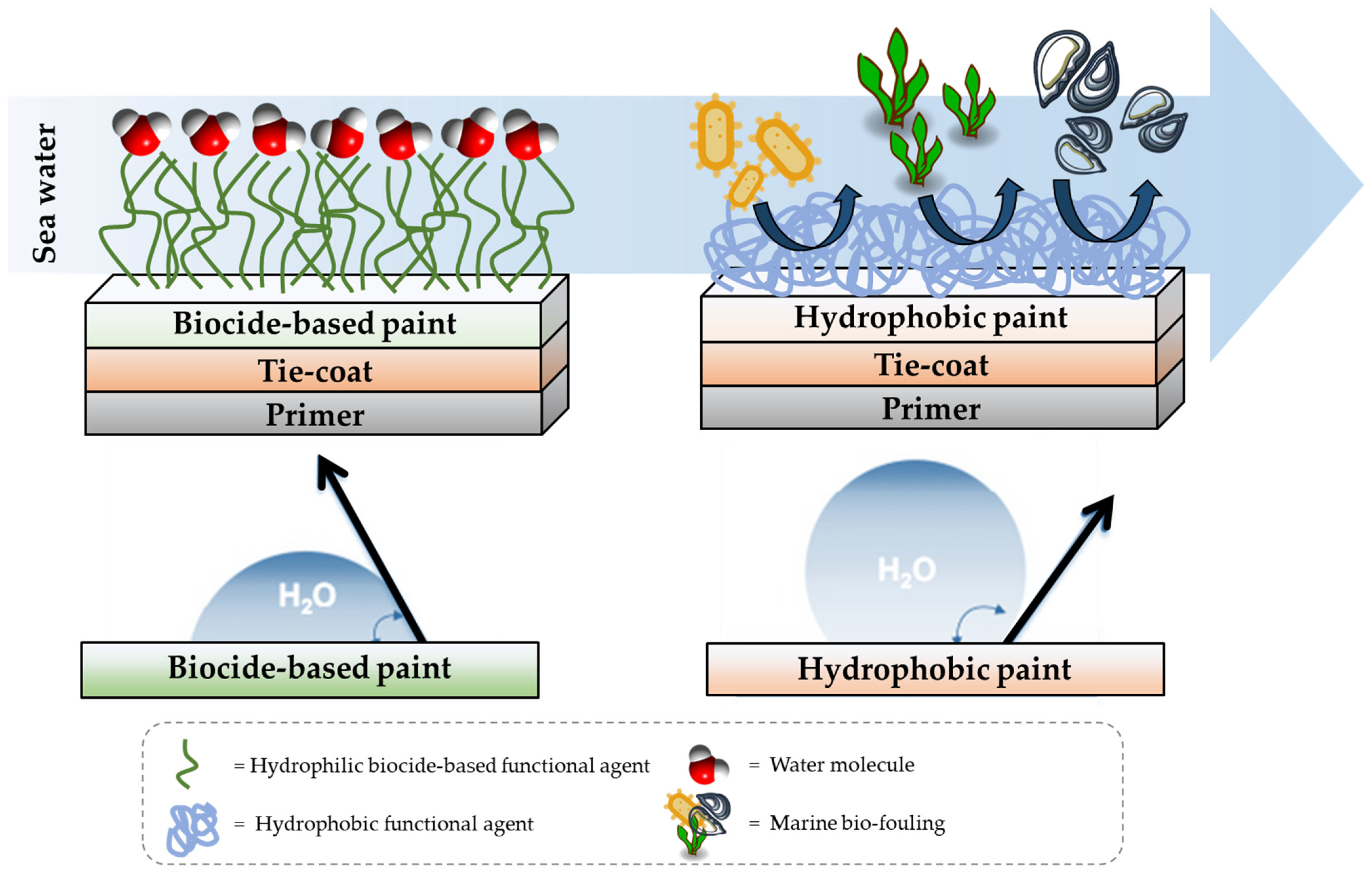 Gels 08 00528 g001 550