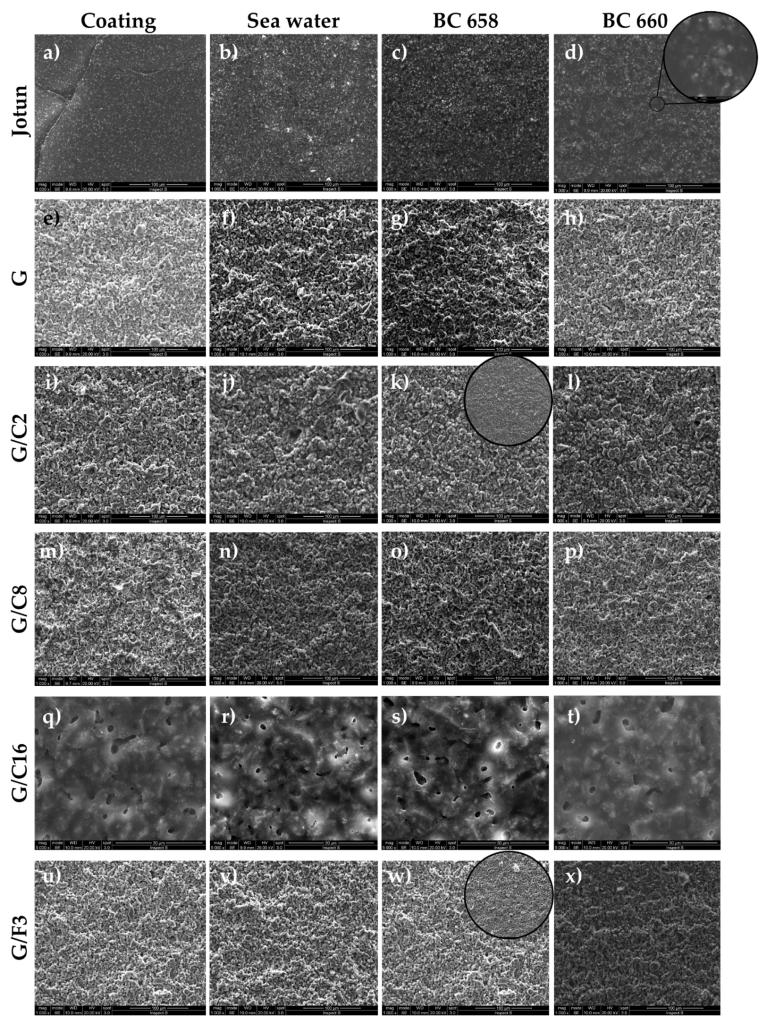 Gels 08 00528 g015 550