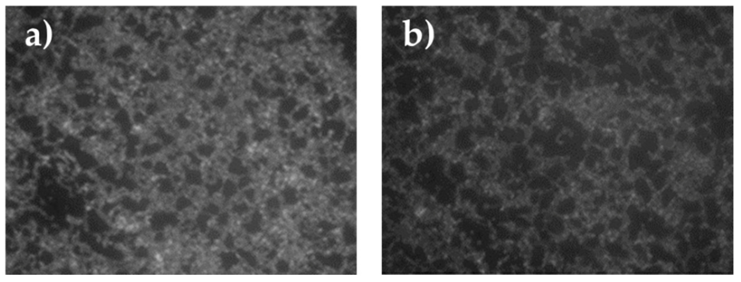 Gels 08 00528 g017 550