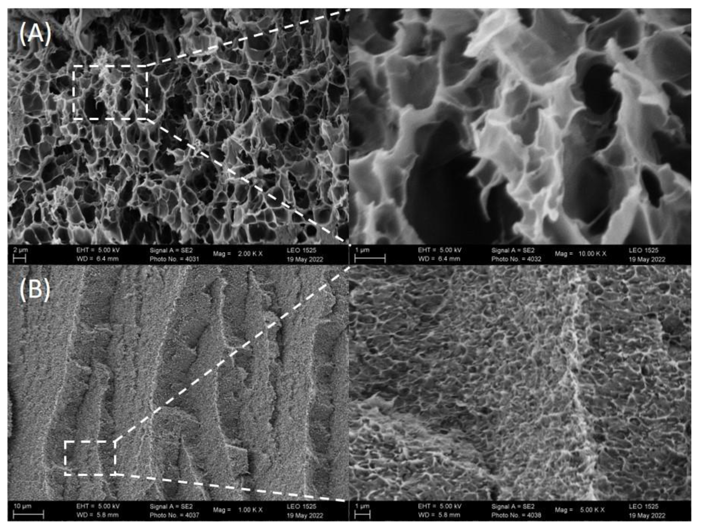 Gels 08 00531 g002 550