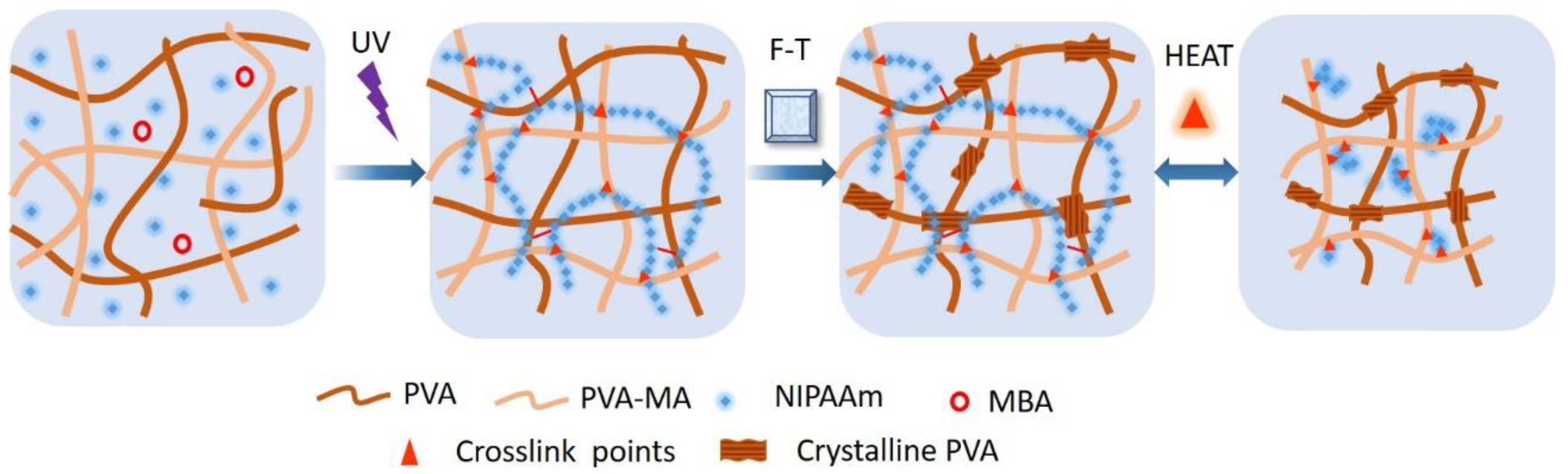Gels 08 00531 sch001 550