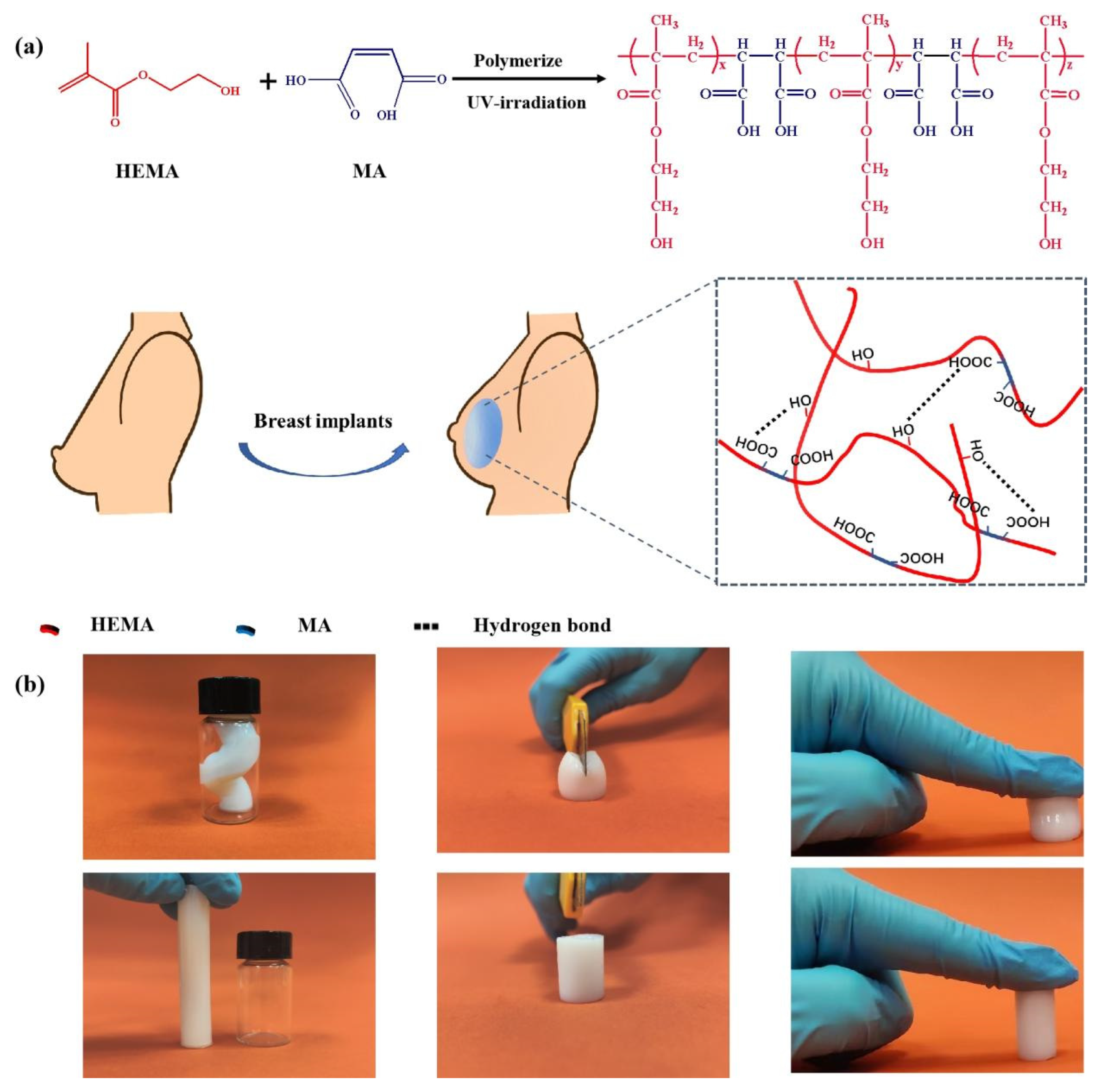 Gels 08 00532 g001 550