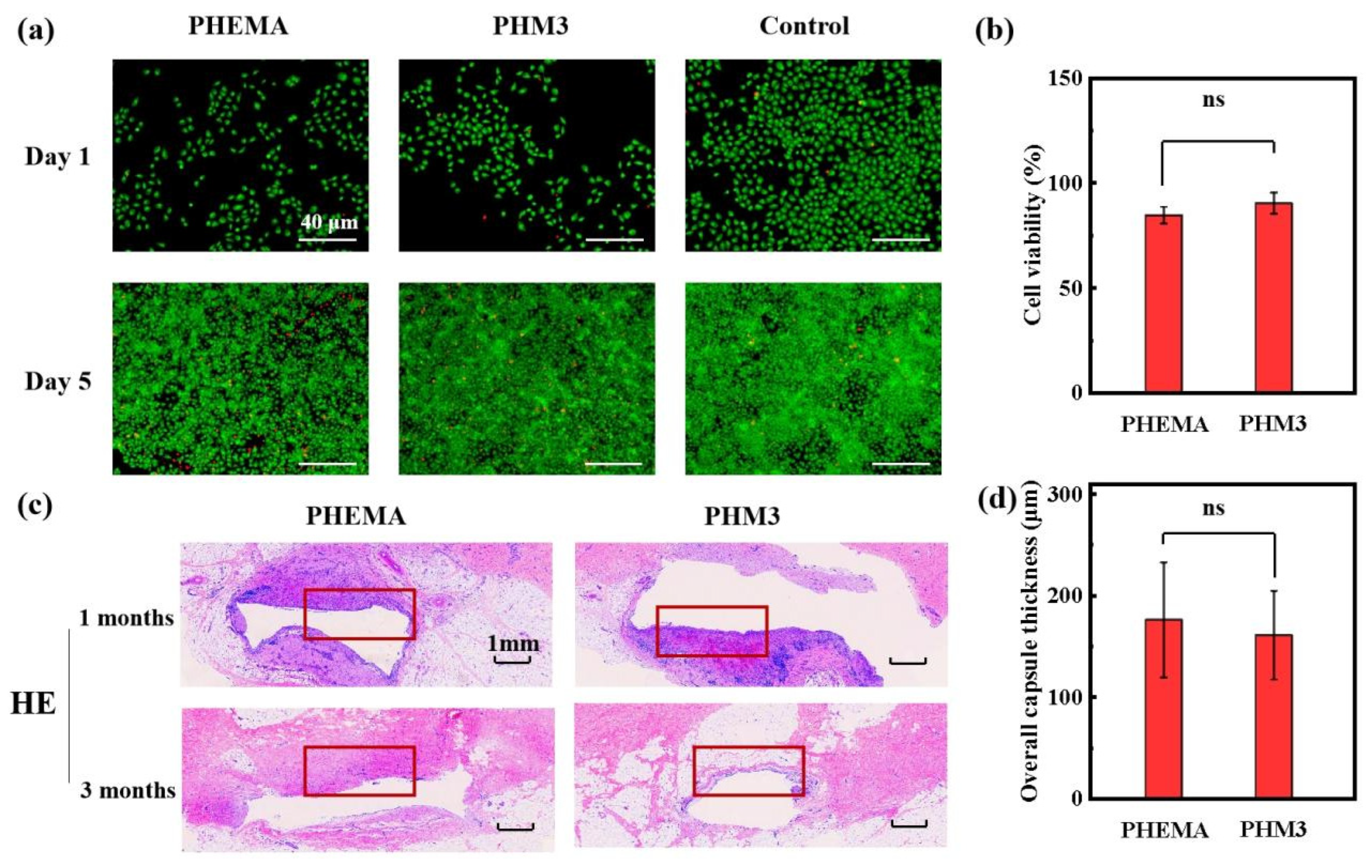 Gels 08 00532 g005 550