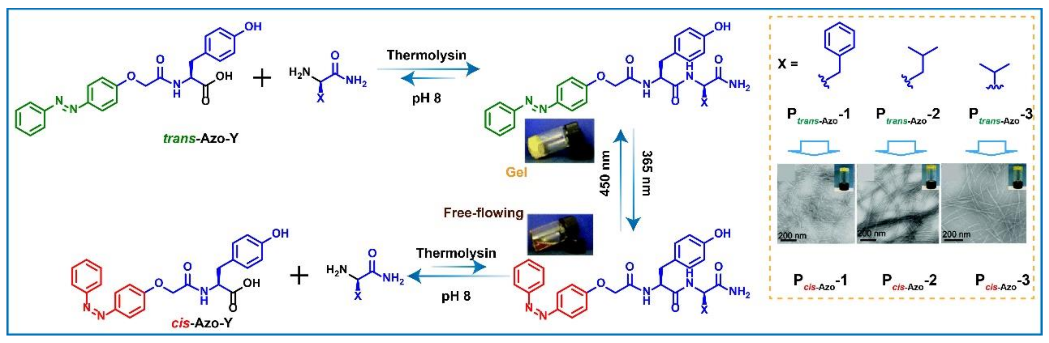 Gels 08 00533 g002 Gels 08 00533 g002