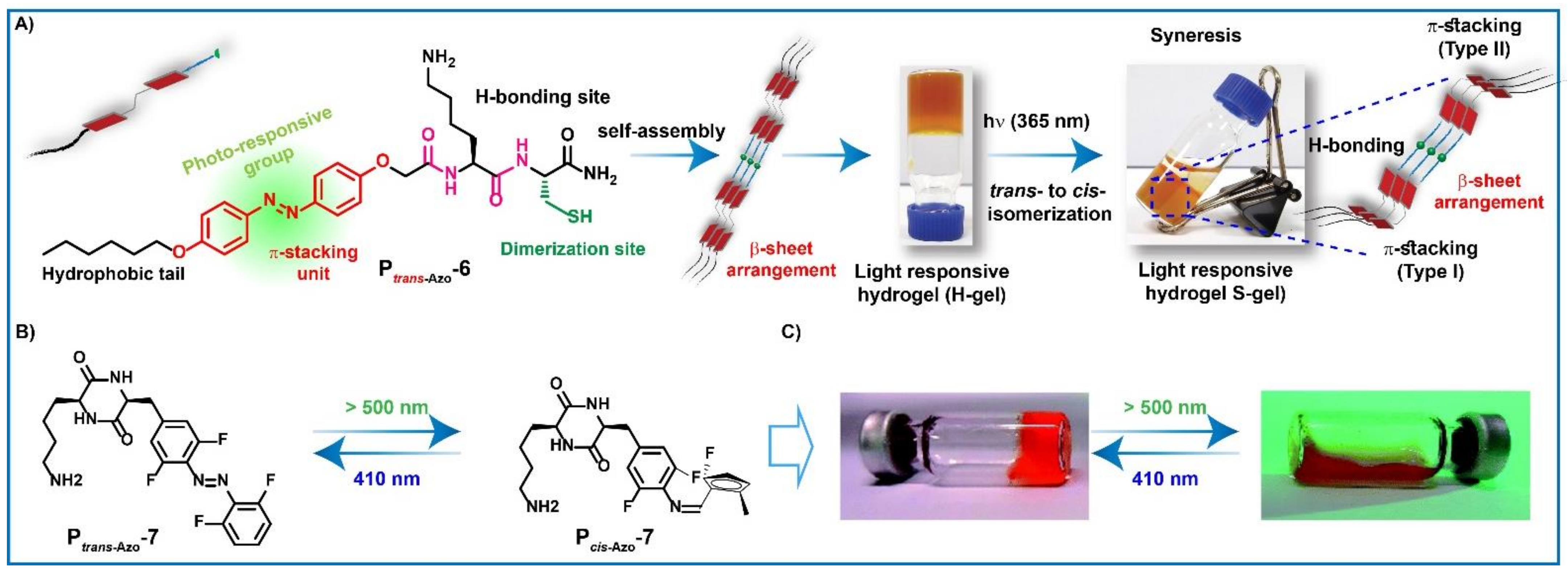 Gels 08 00533 g004 Gels 08 00533 g004