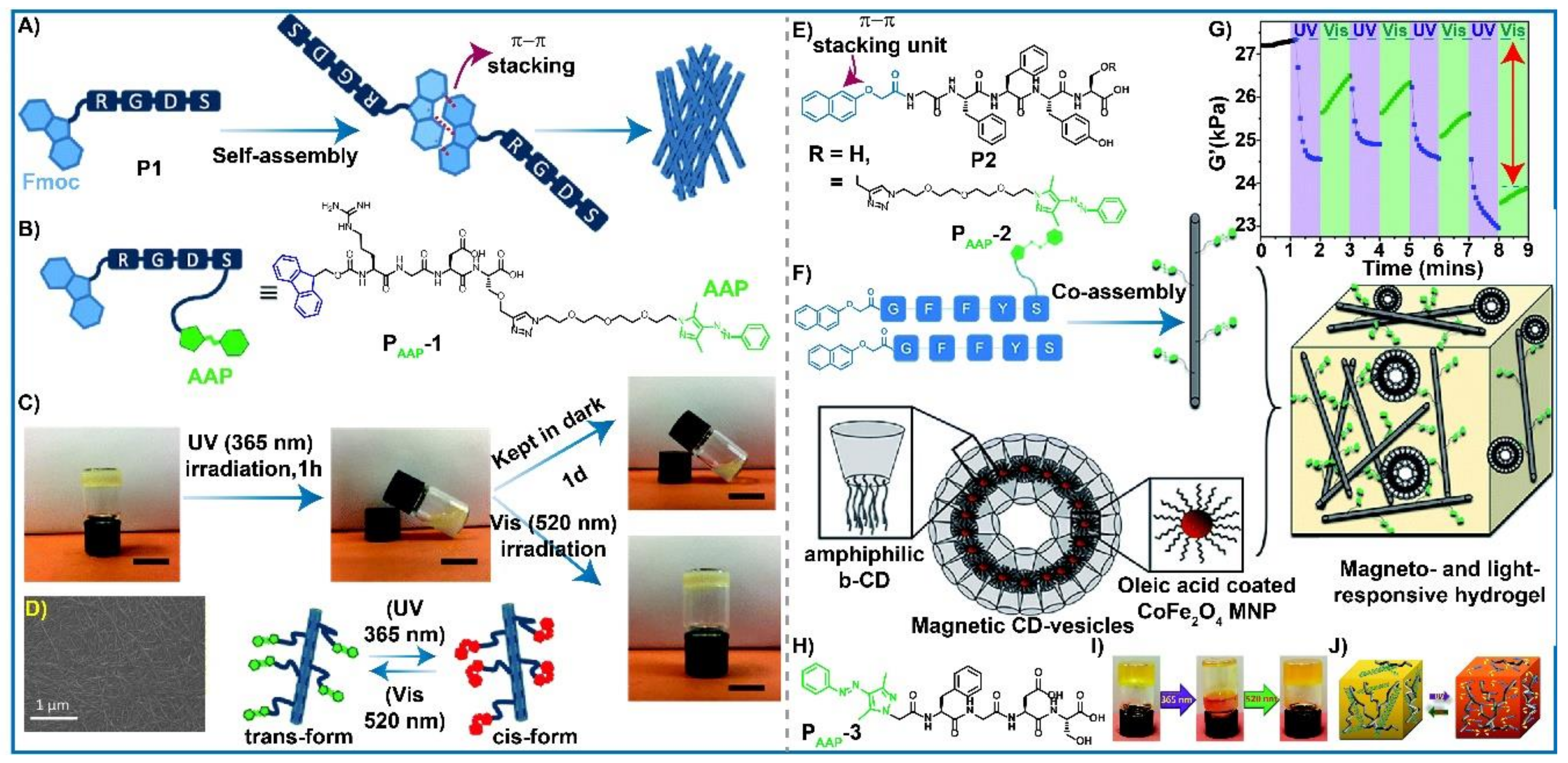 Gels 08 00533 g005 Gels 08 00533 g005