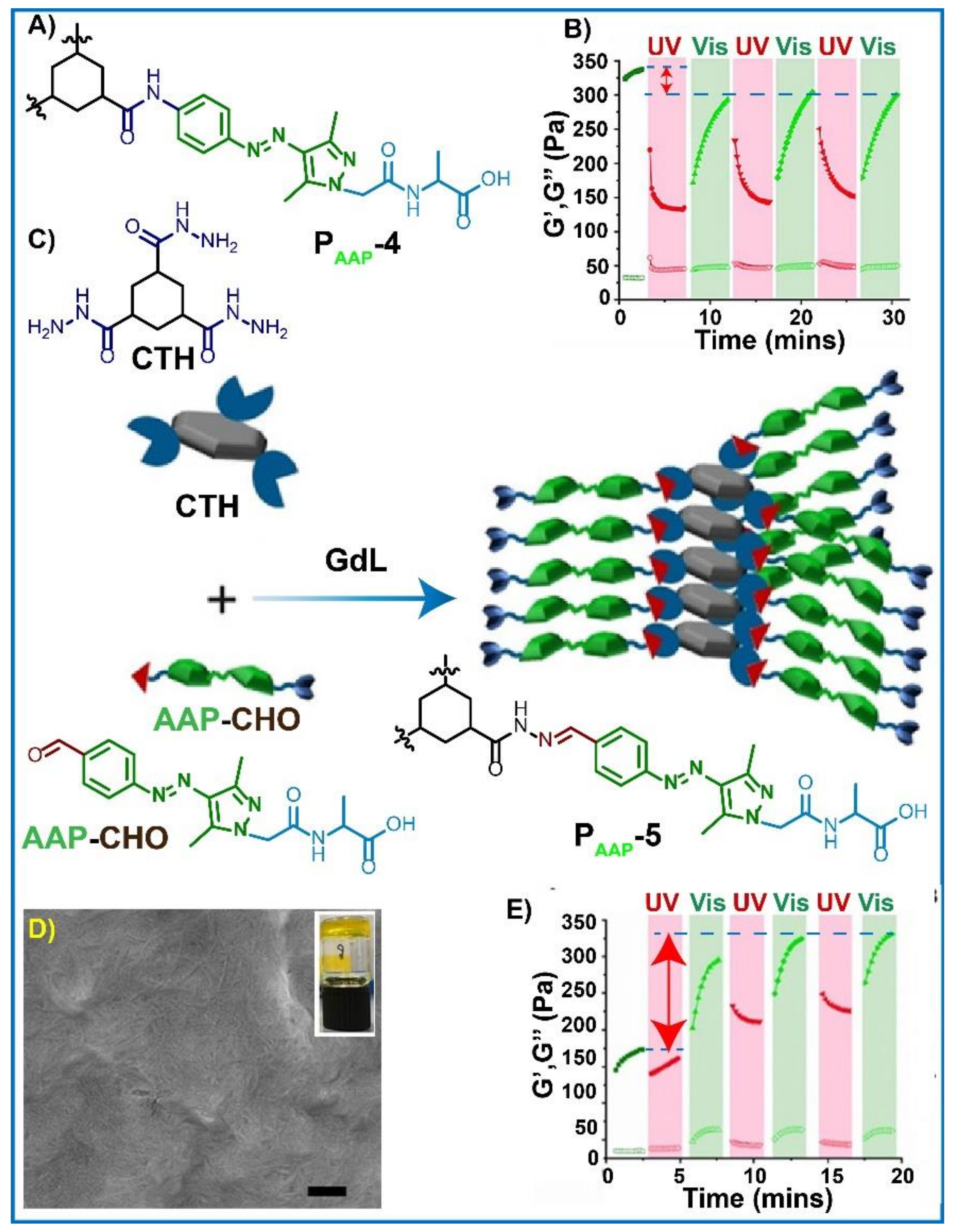 Gels 08 00533 g006 Gels 08 00533 g006