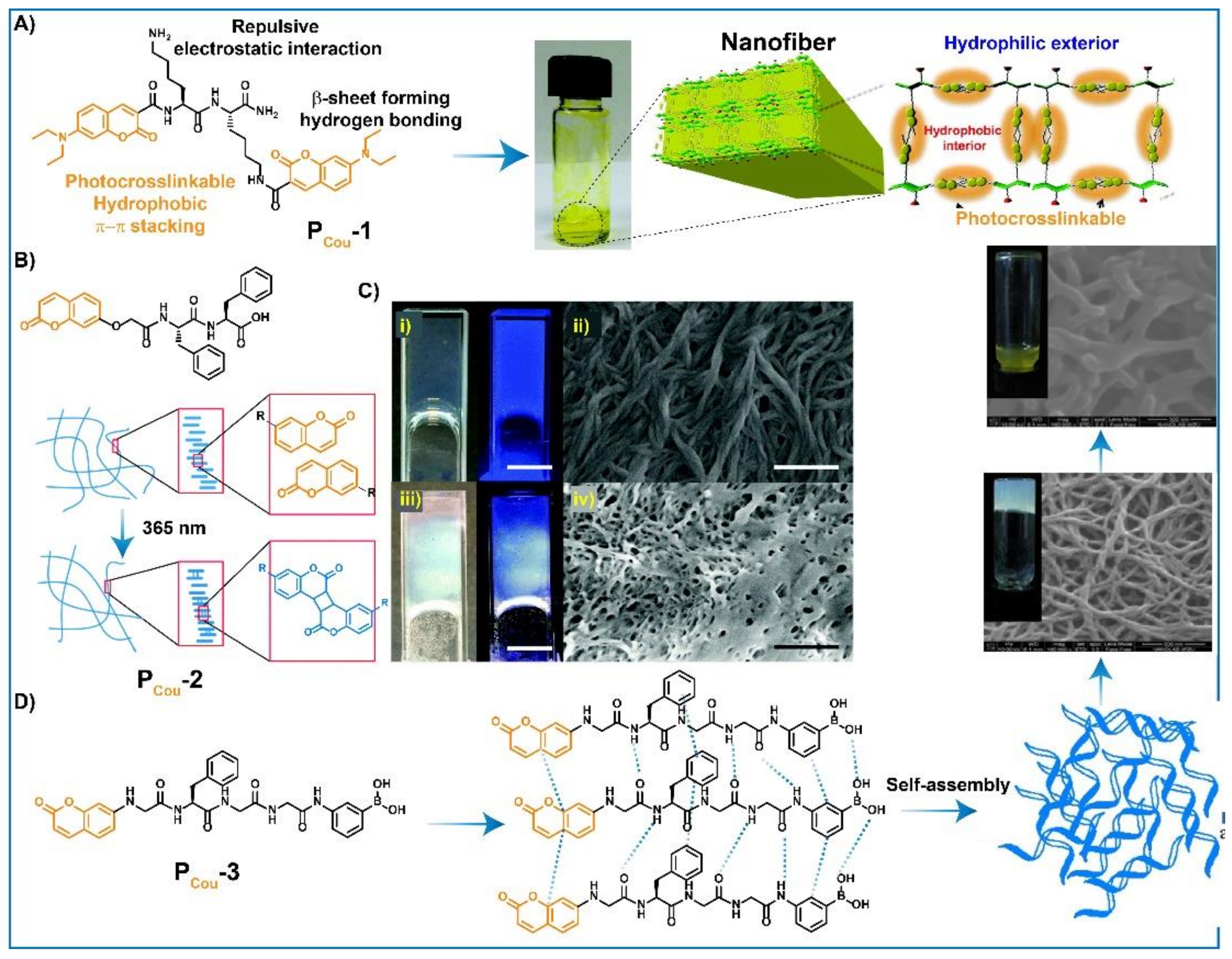Gels 08 00533 g008 Gels 08 00533 g008