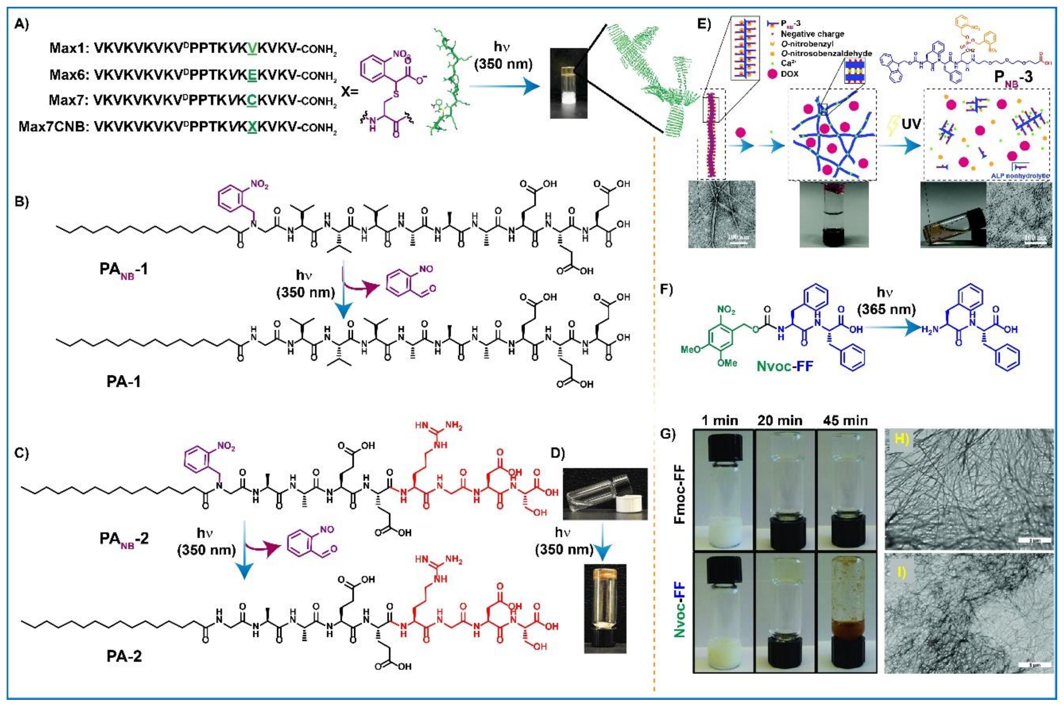 Gels 08 00533 g010 Gels 08 00533 g010