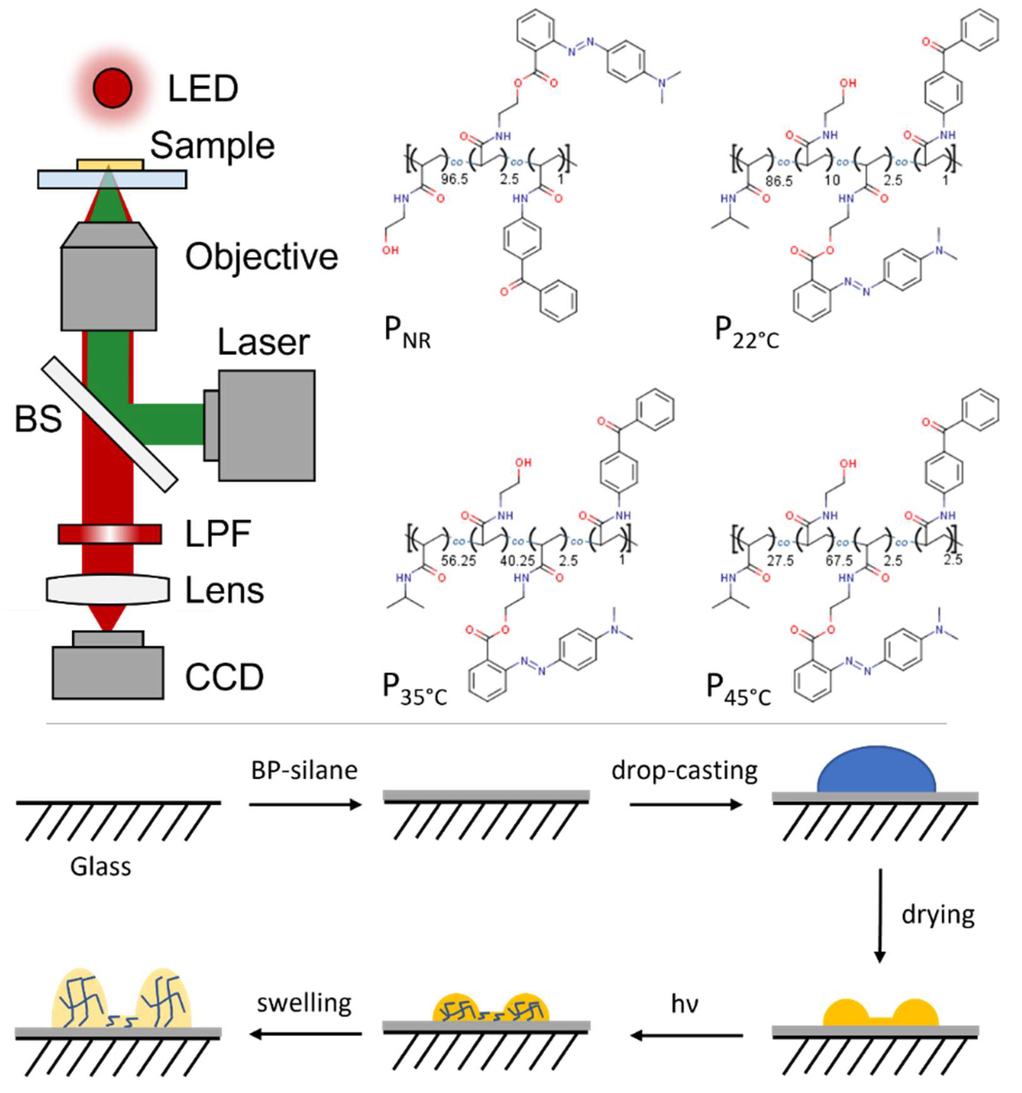 Gels 08 00541 g001 550