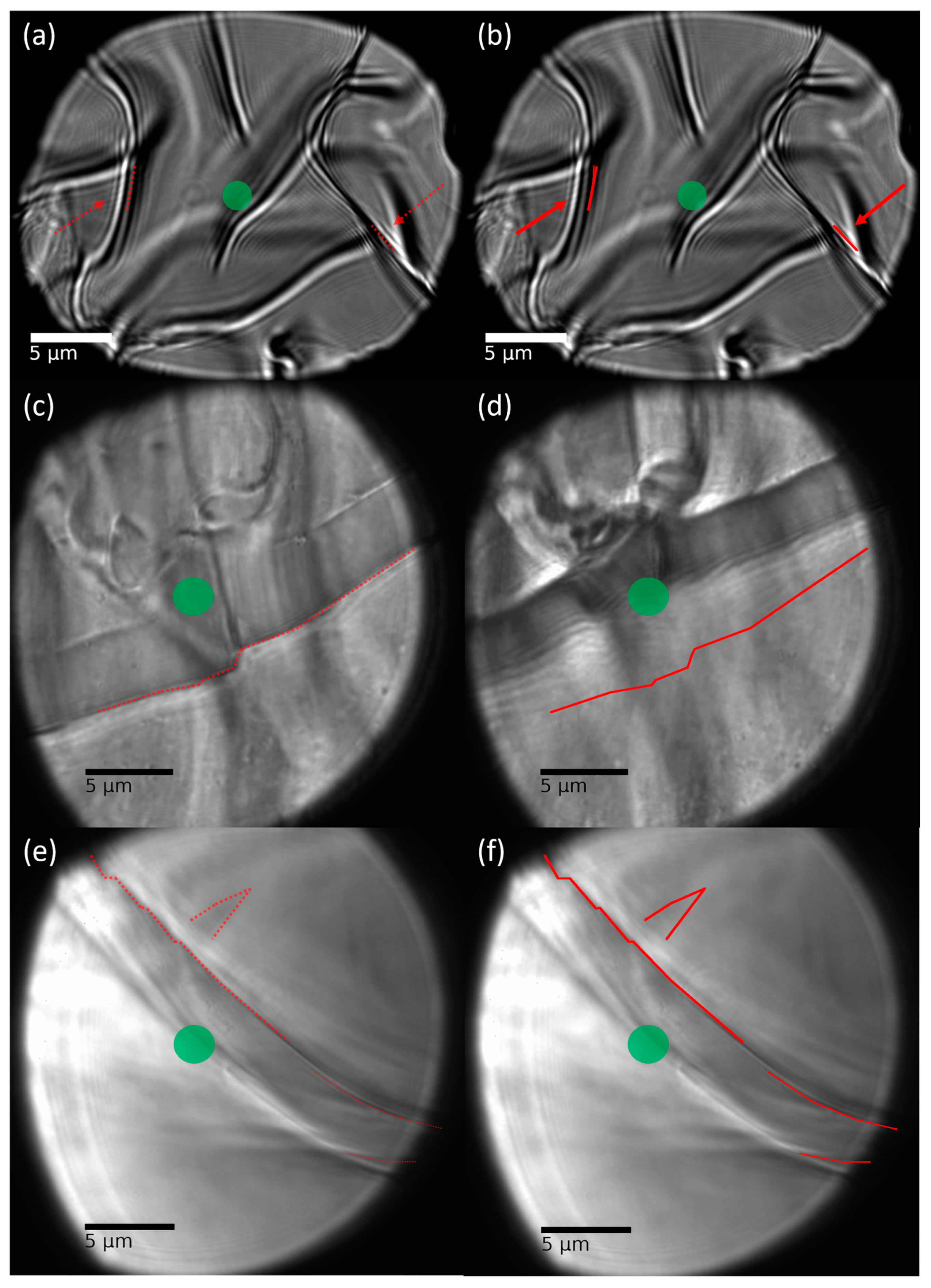 Gels 08 00541 g002 550